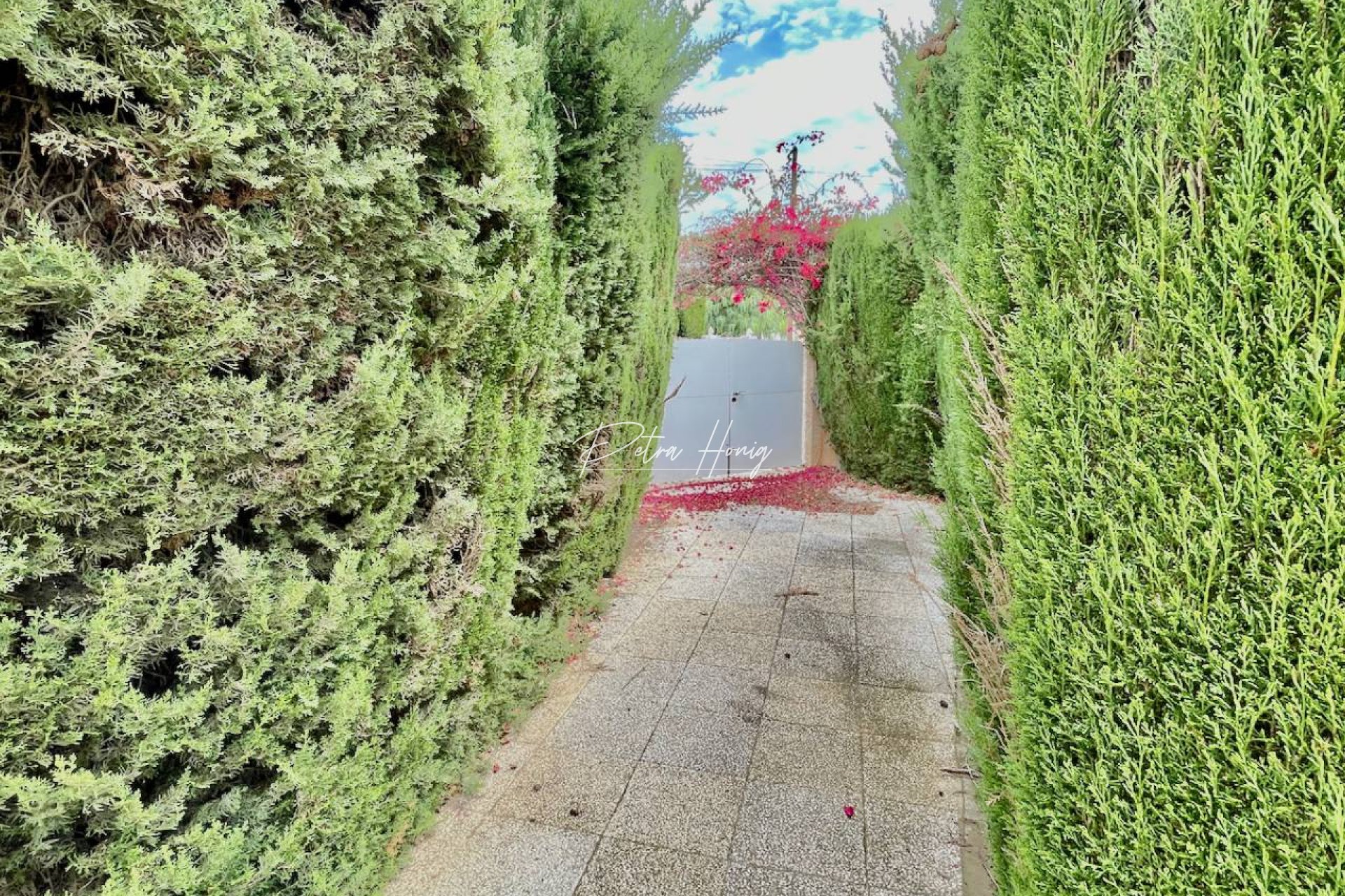 Resales - Villa - Ciudad Quesada - Town Center
