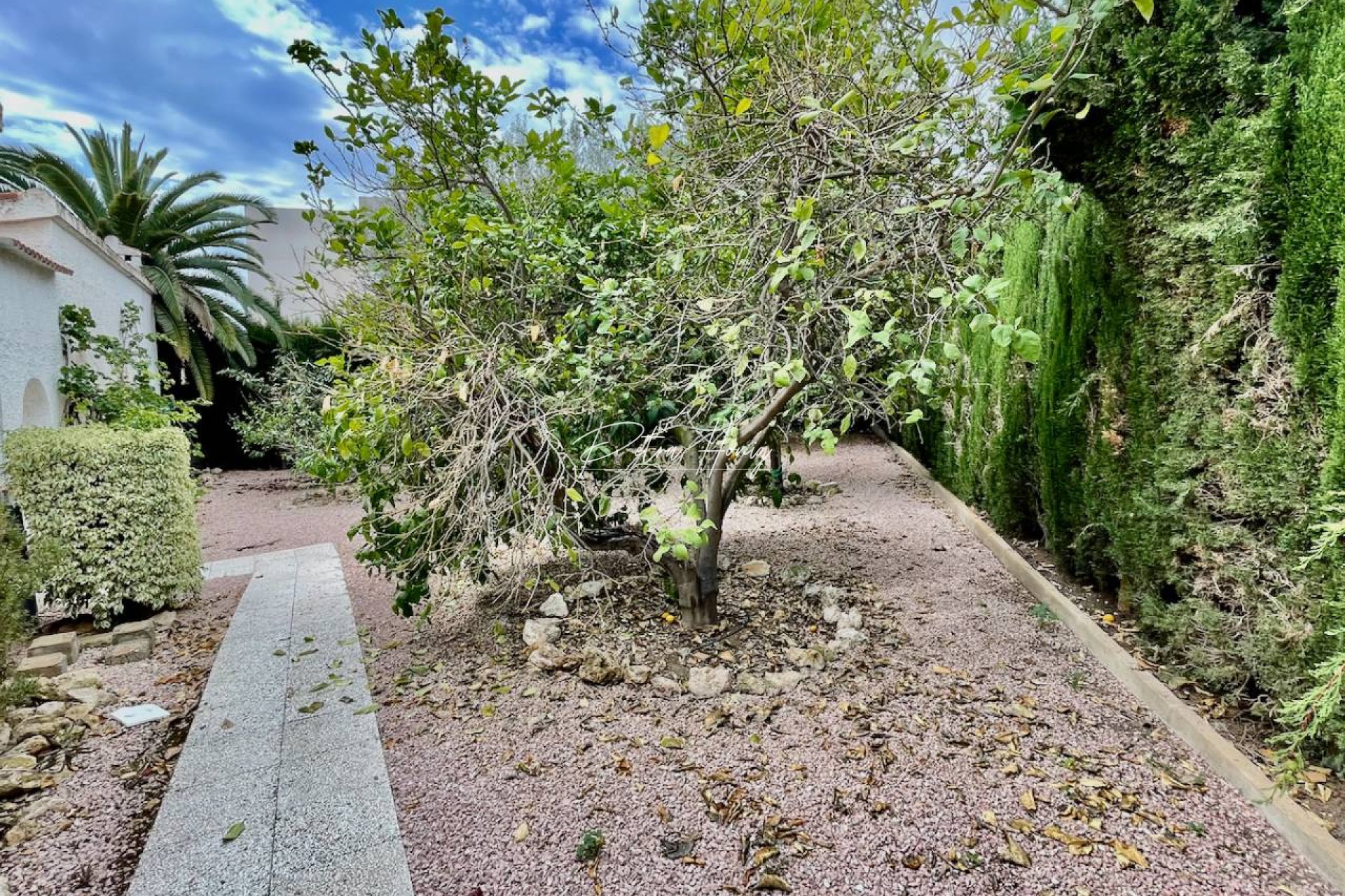 Resales - Villa - Ciudad Quesada - Town Center