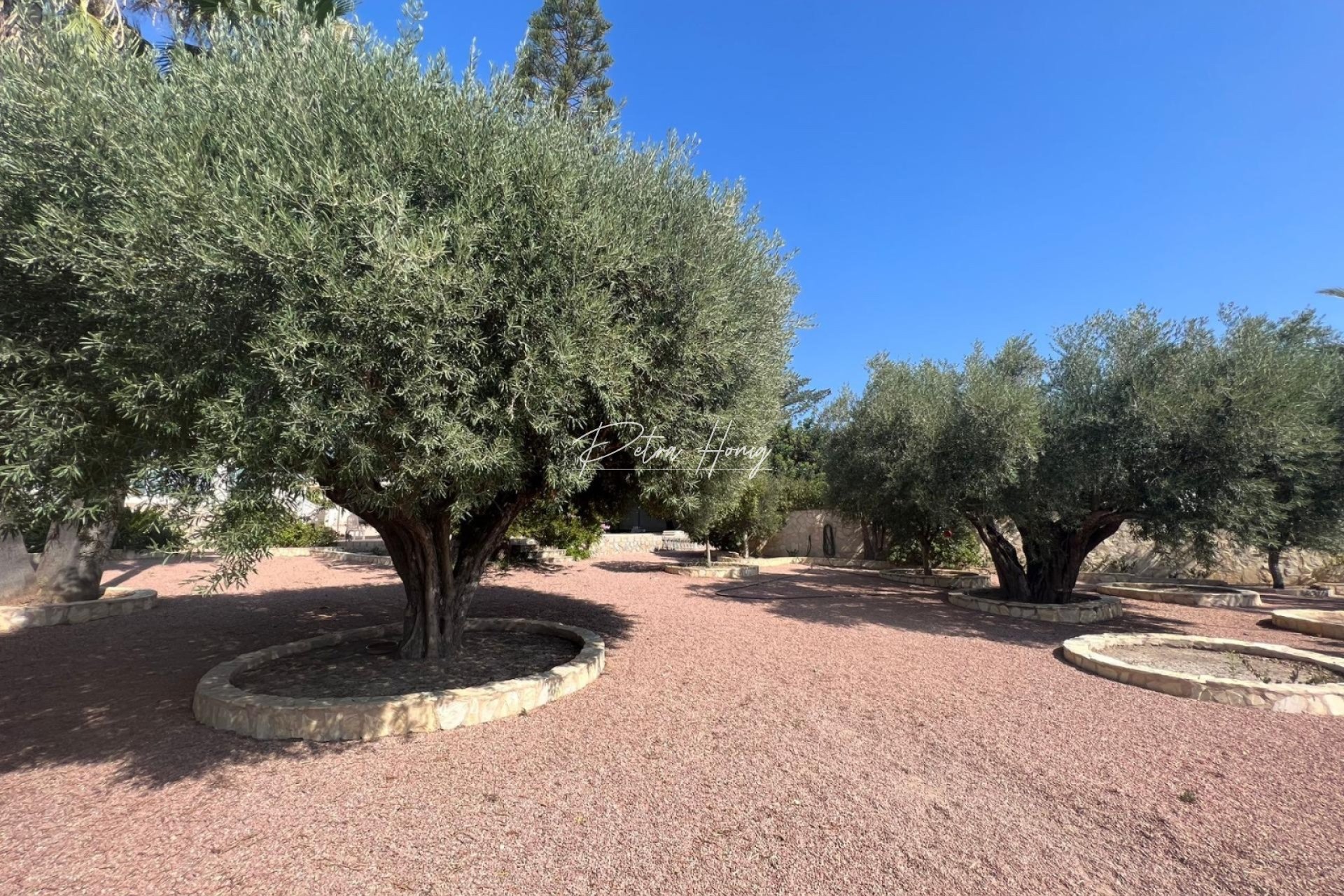 Resales - Villa - Ciudad Quesada - Town Center