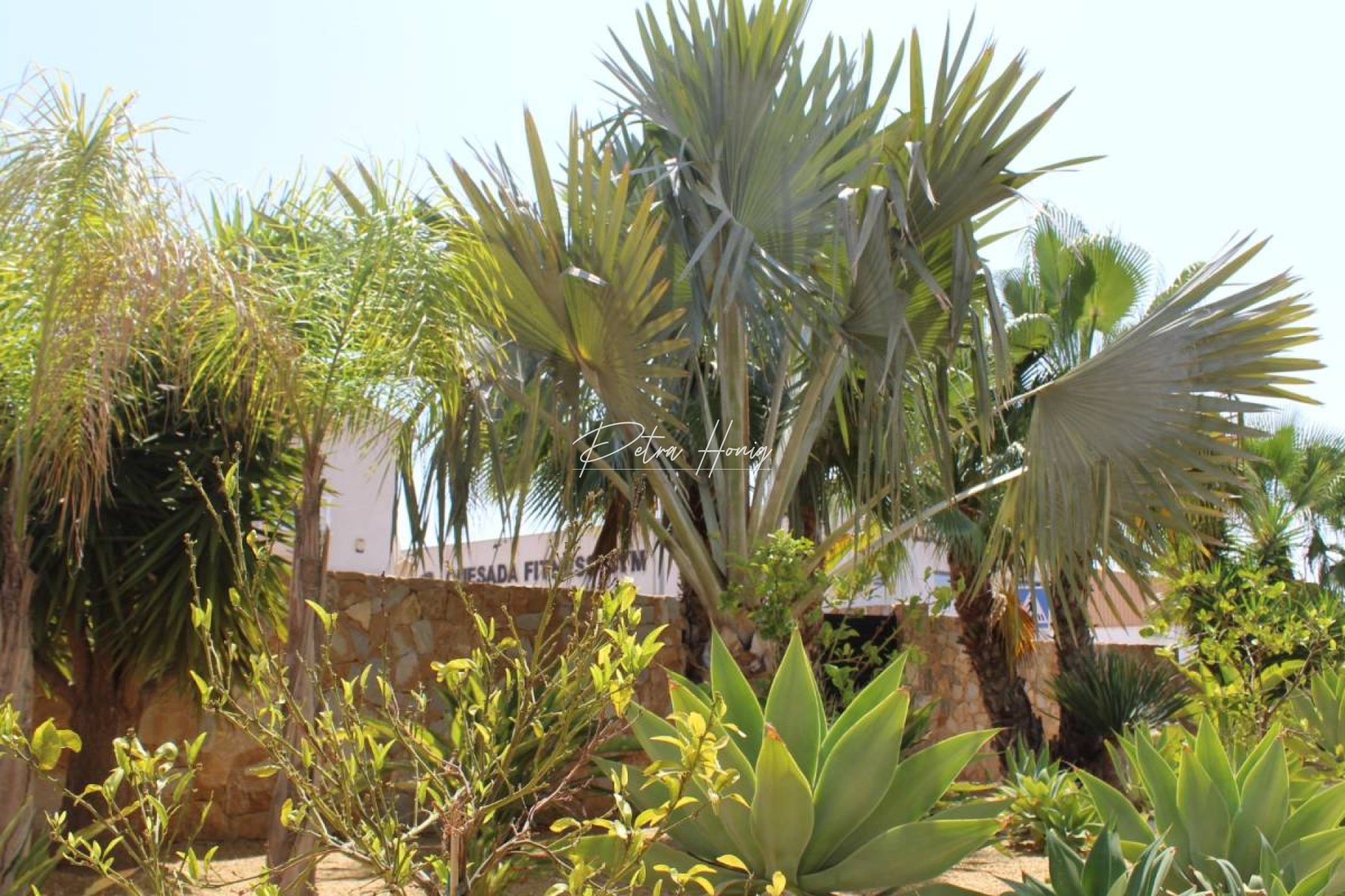 Resales - Villa - Ciudad Quesada
