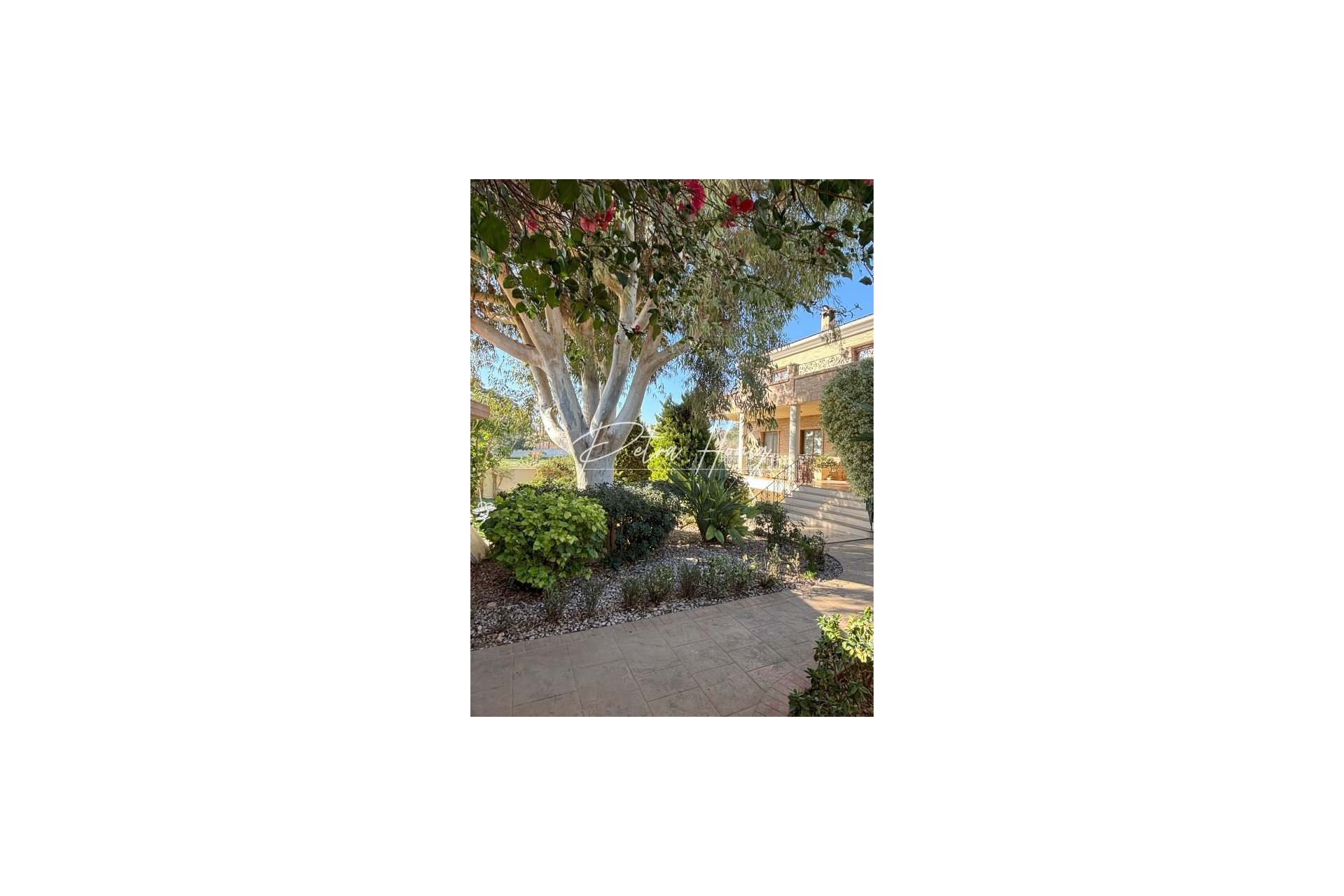 Resales - Villa - Ciudad Quesada