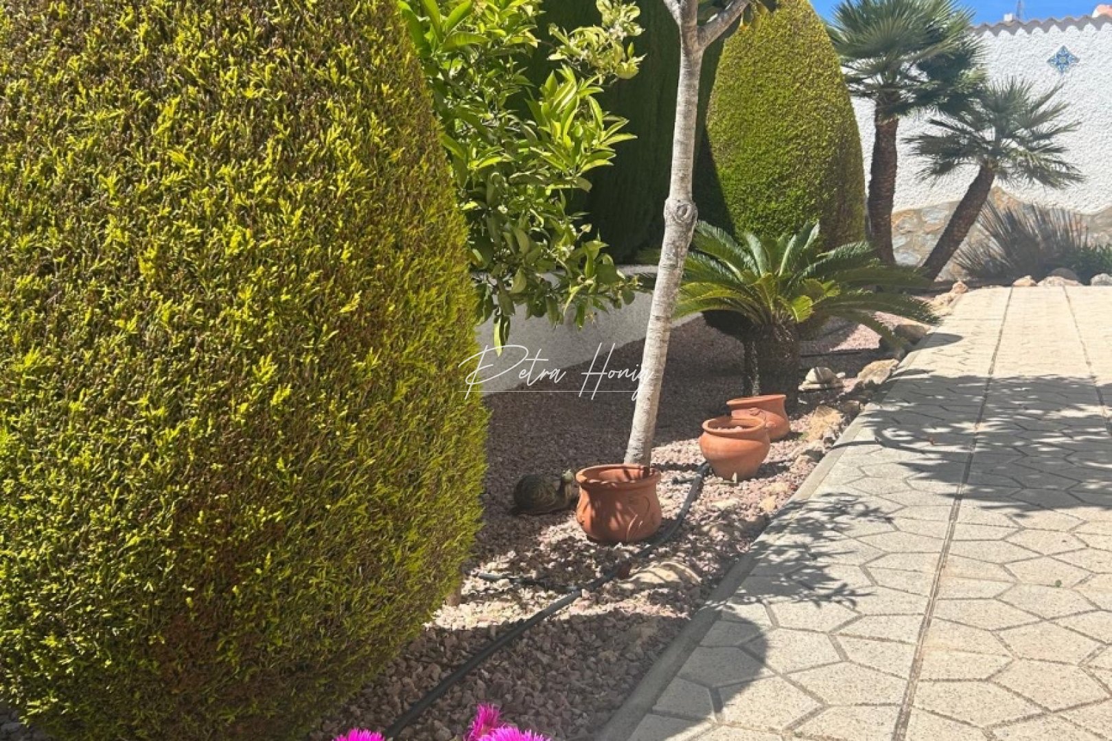 Resales - Villa - Ciudad Quesada