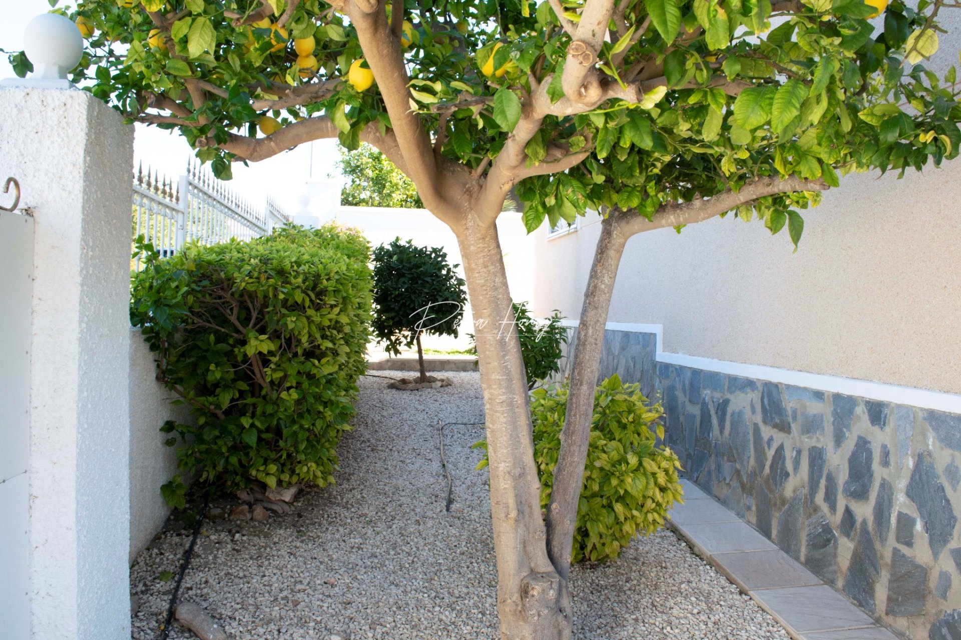 Resales - Villa - Ciudad Quesada