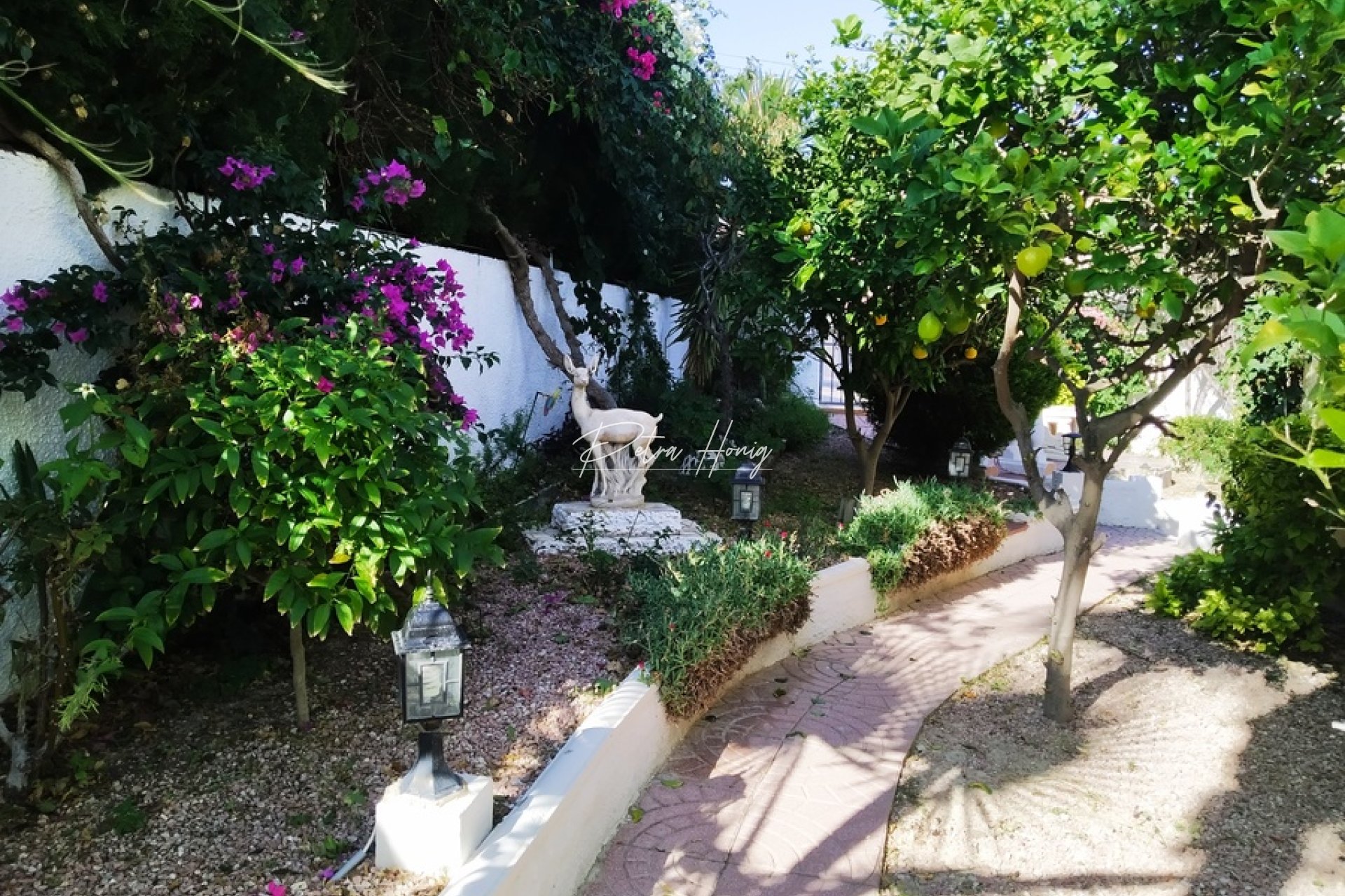 Resales - Villa - Ciudad Quesada