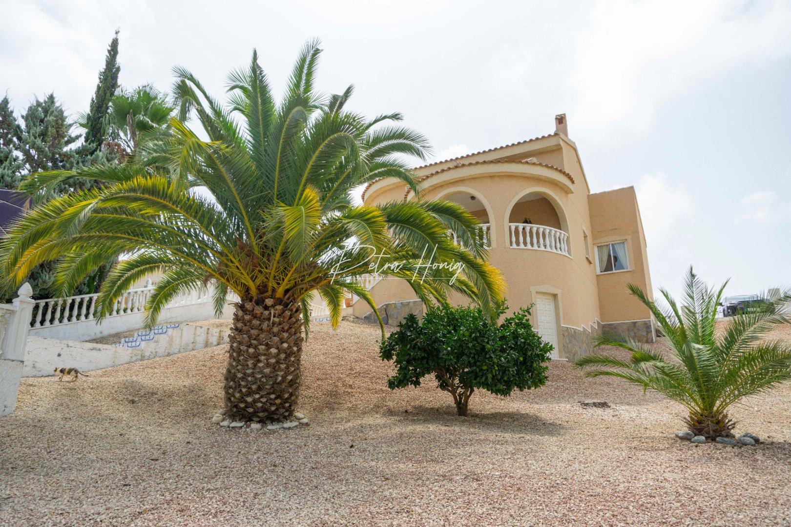 Resales - Villa - Ciudad Quesada