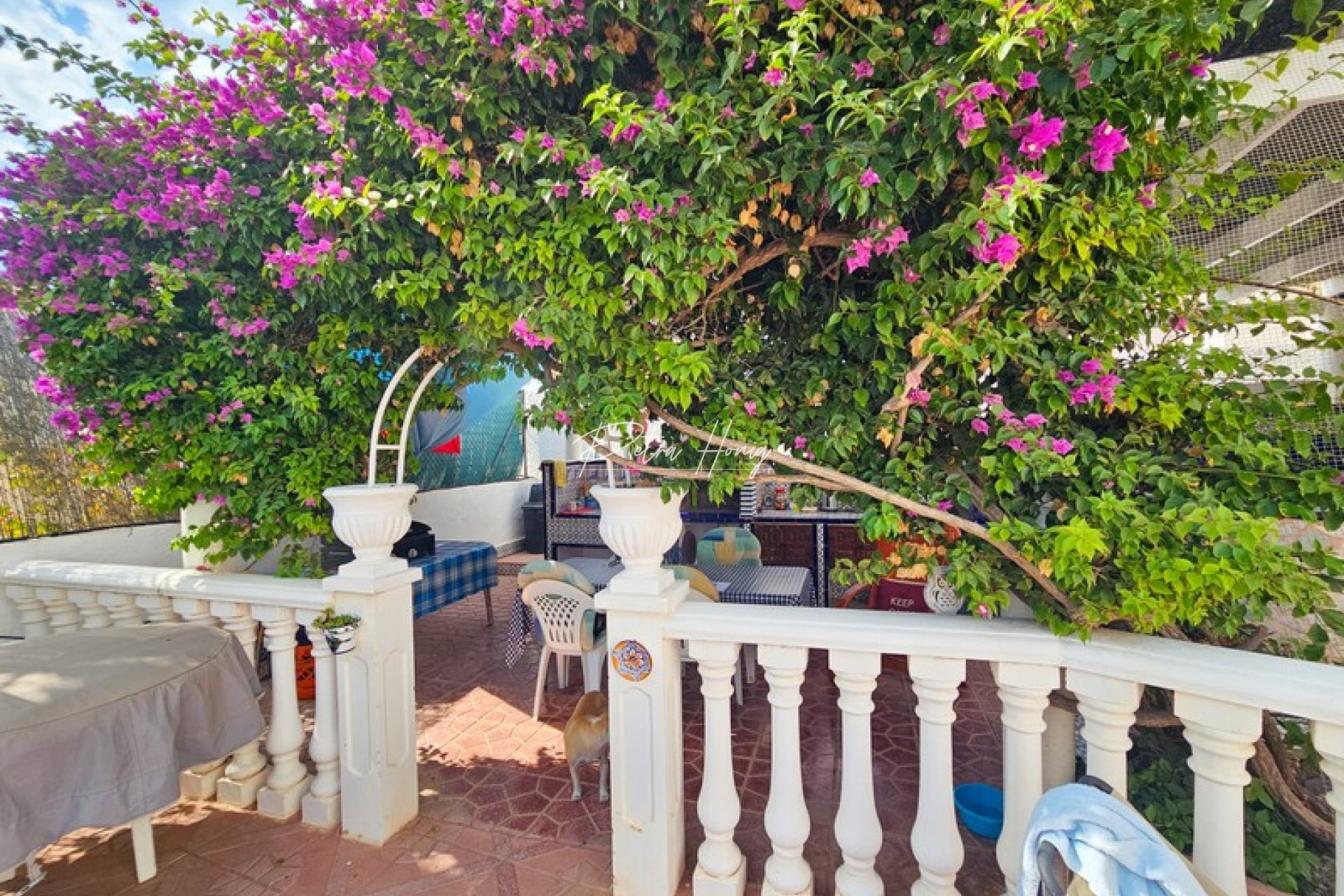 Resales - Villa - Ciudad Quesada
