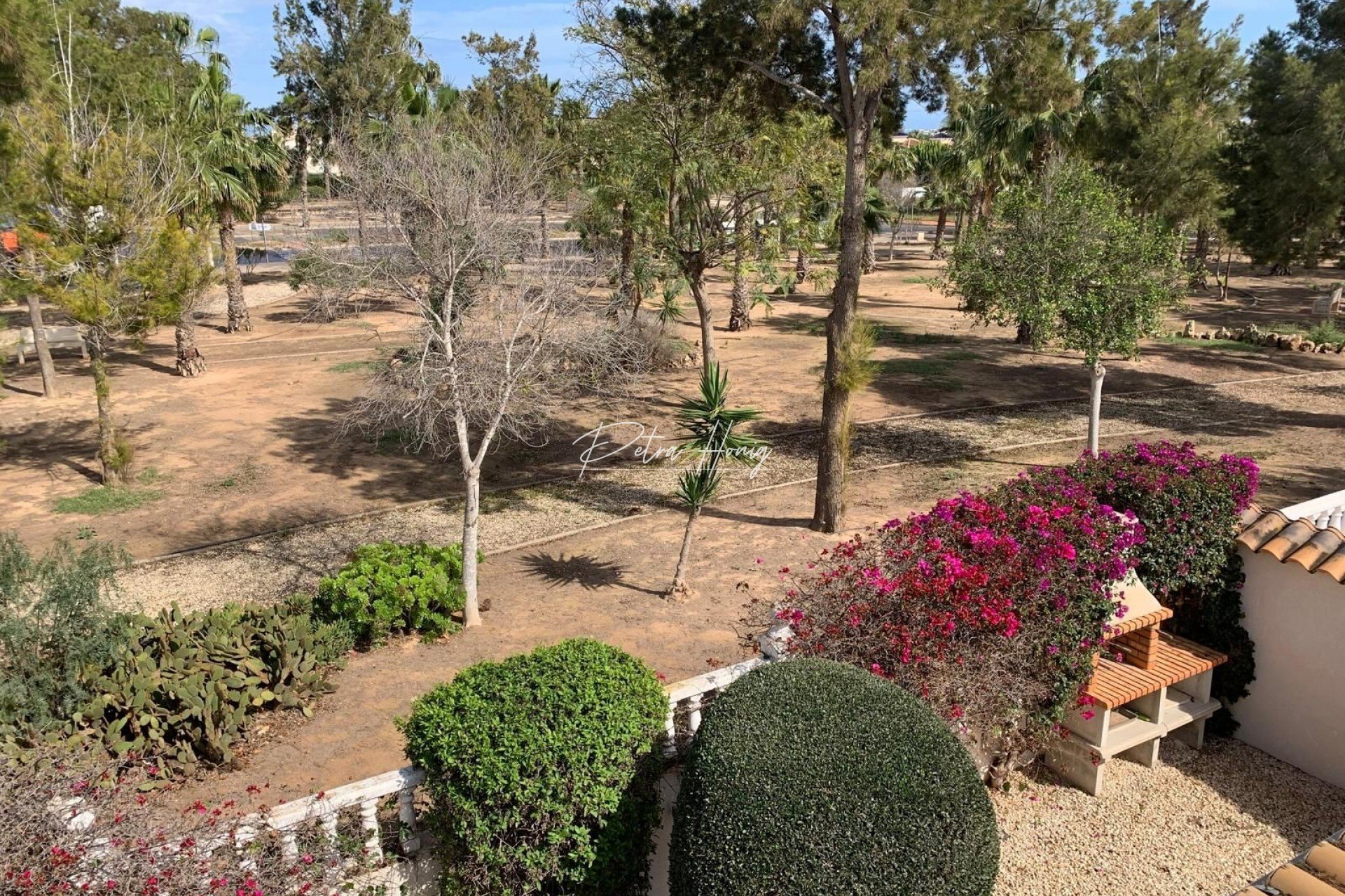 Resales - Villa - Guardamar del Segura - EL RASO