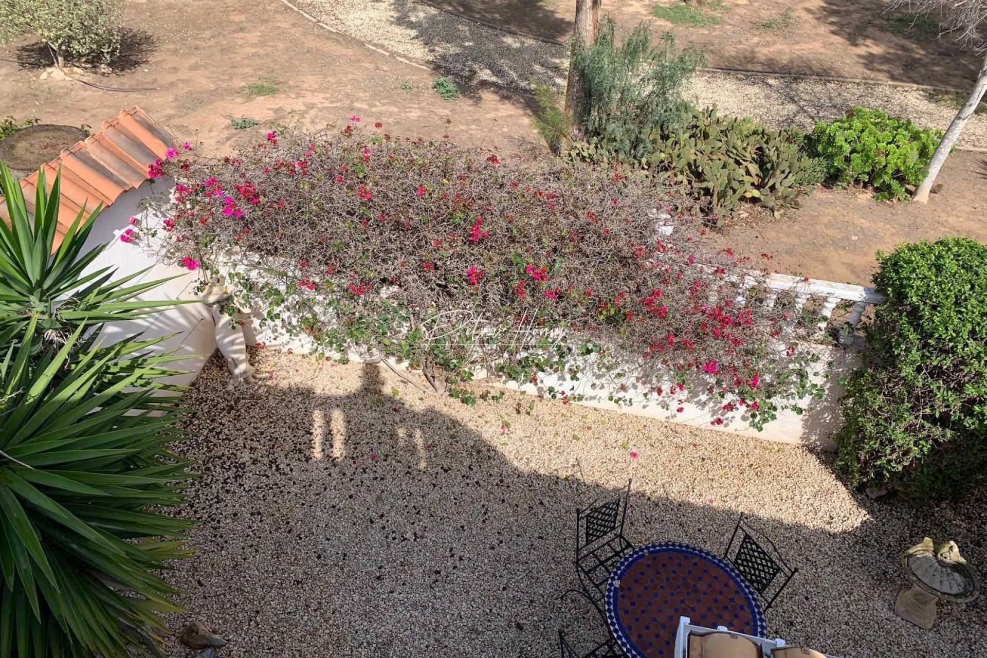 Resales - Villa - Guardamar del Segura - EL RASO