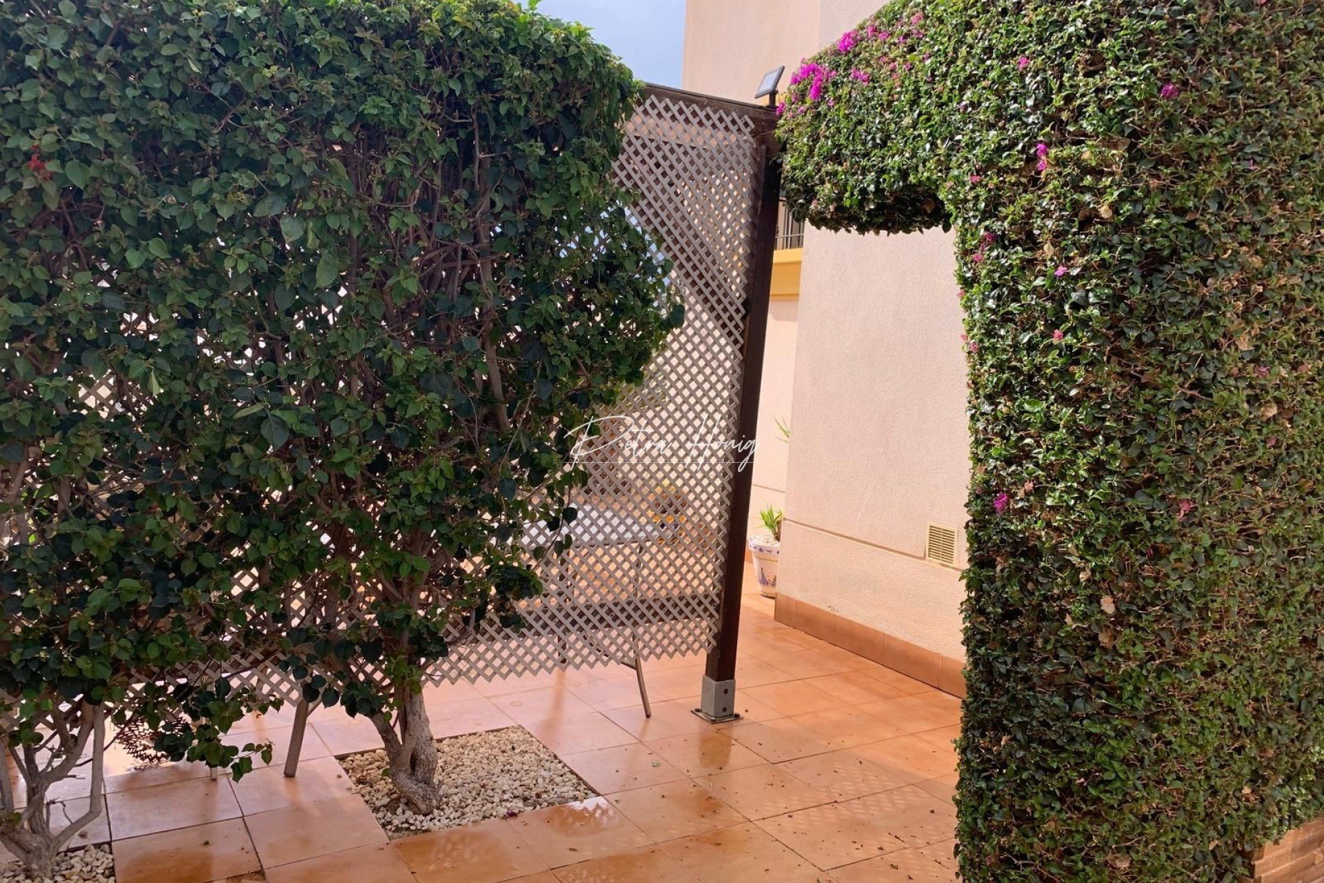 Resales - Villa - Guardamar del Segura - EL RASO