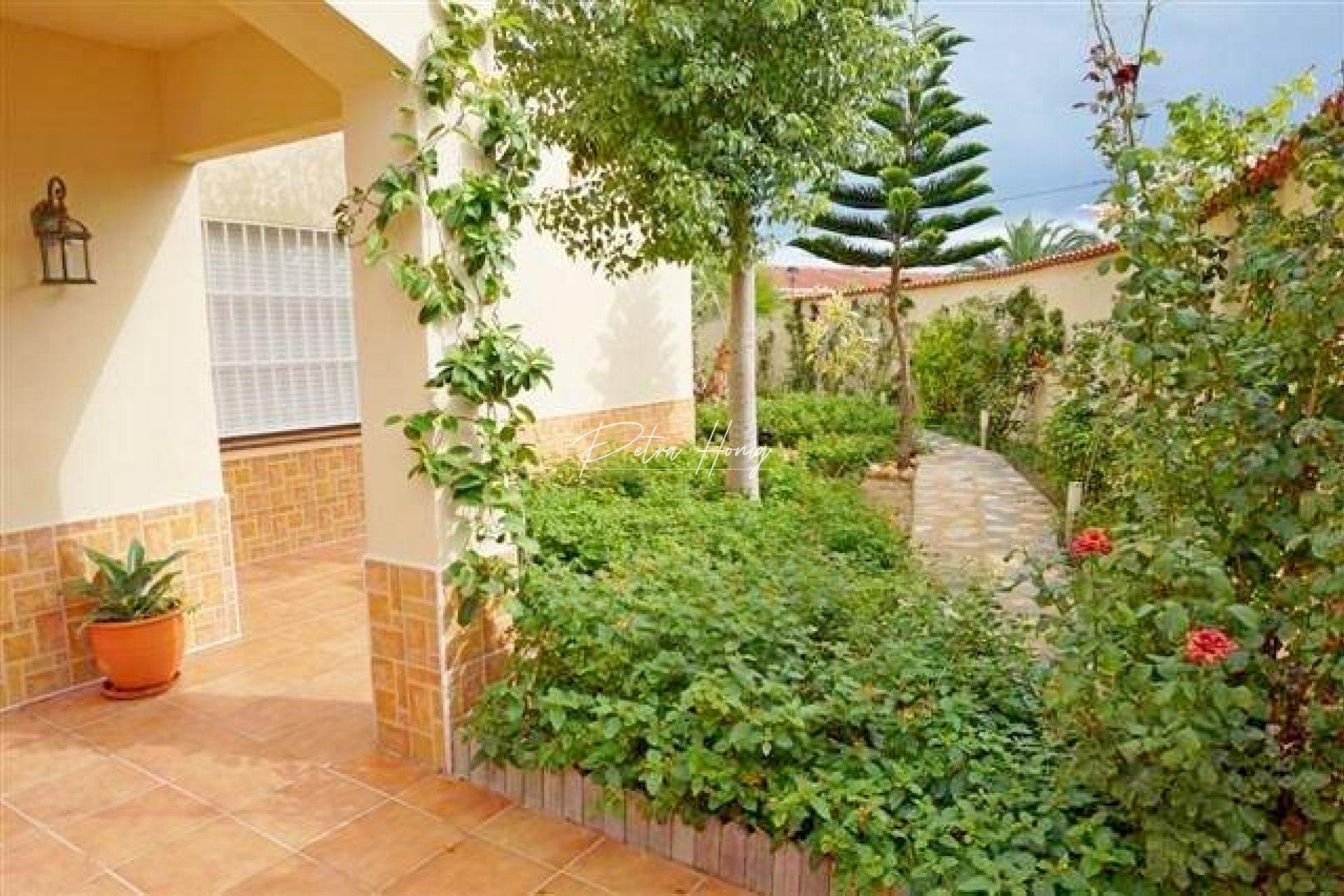 Resales - Villa - La Mata - Molino Blanco