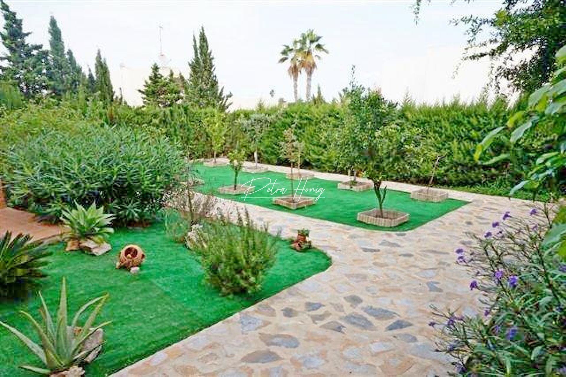 Resales - Villa - La Mata - Molino Blanco