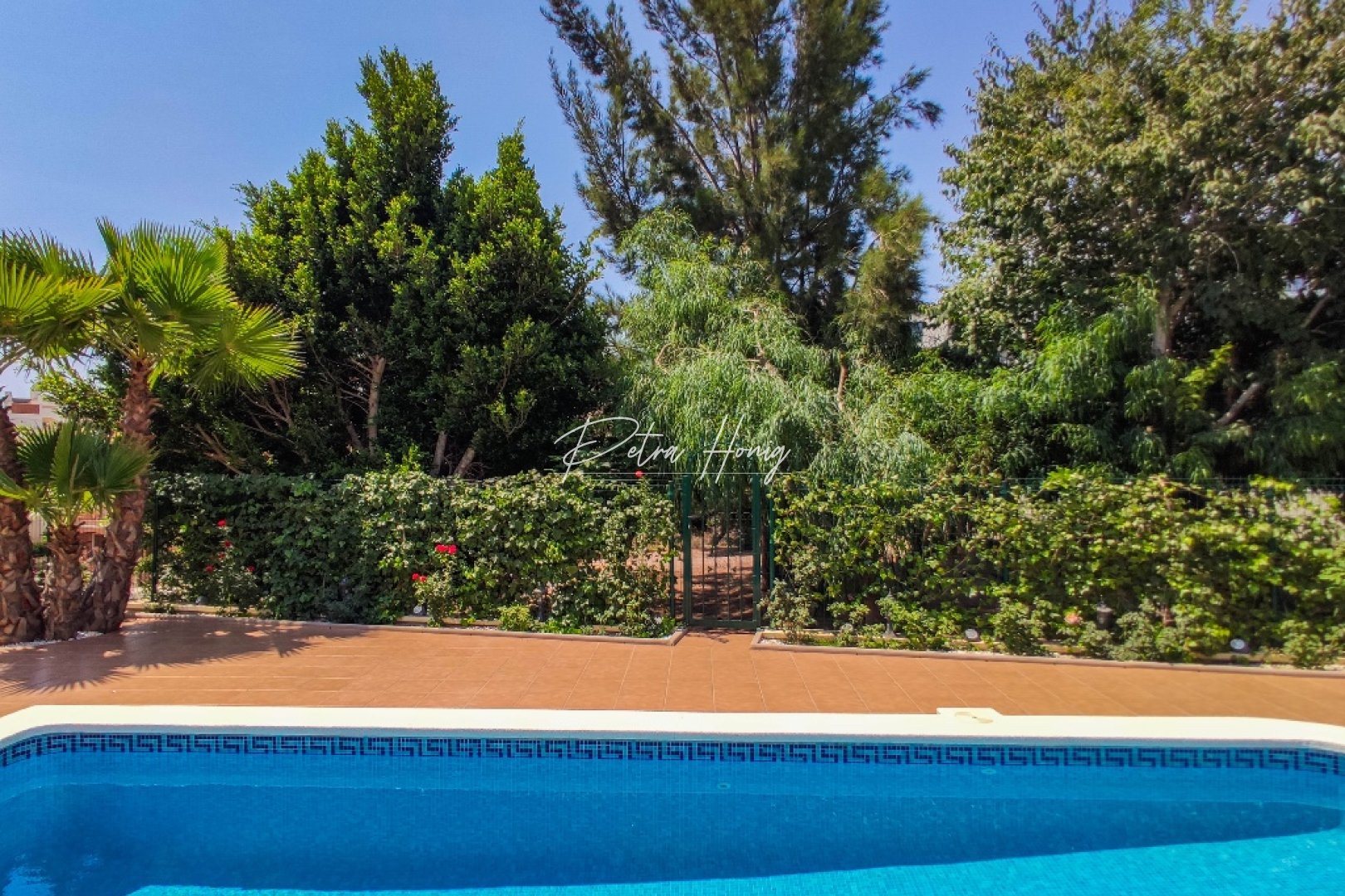 Resales - Villa - Las Ramblas