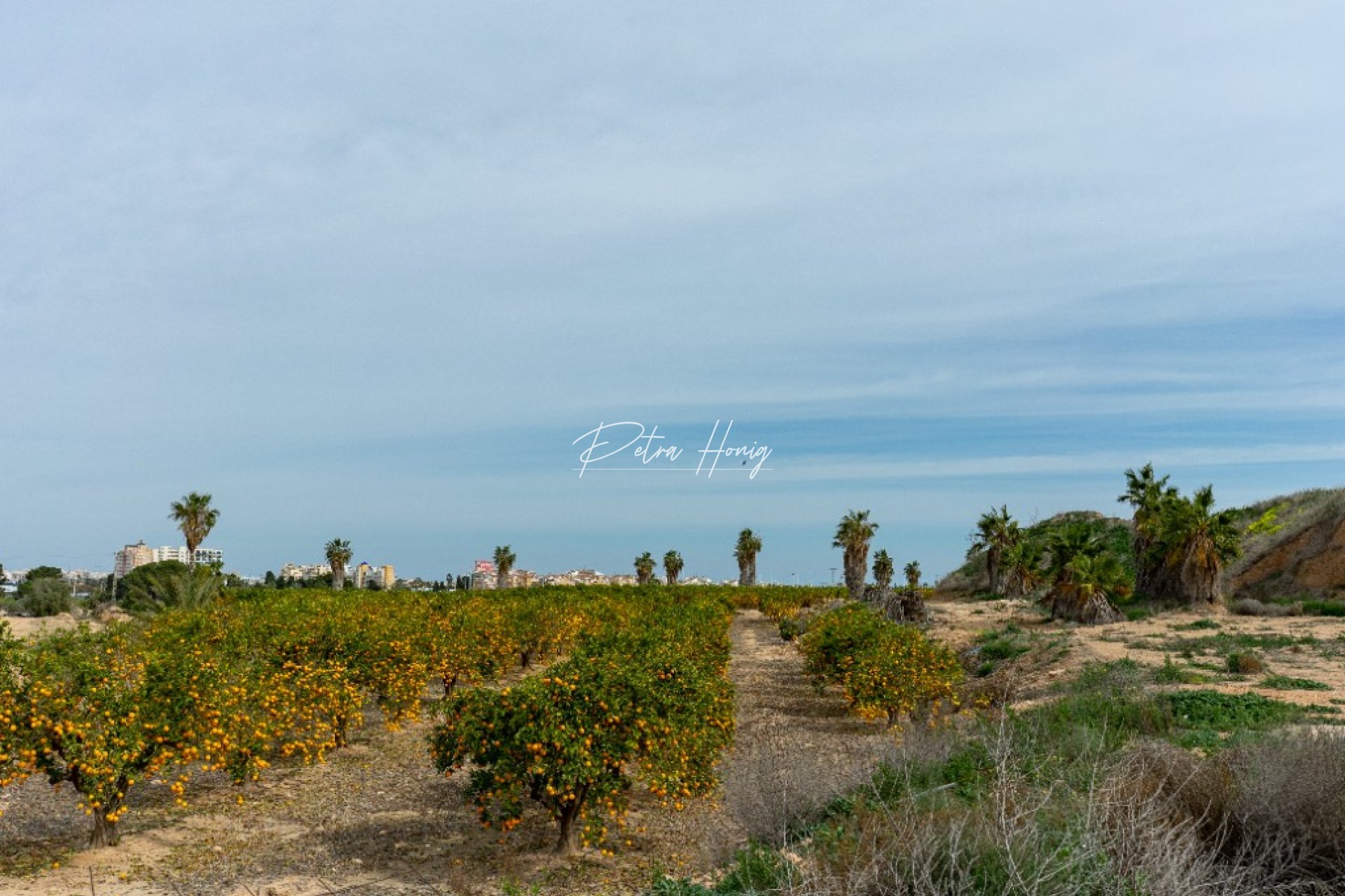Resales - Villa - Los Altos