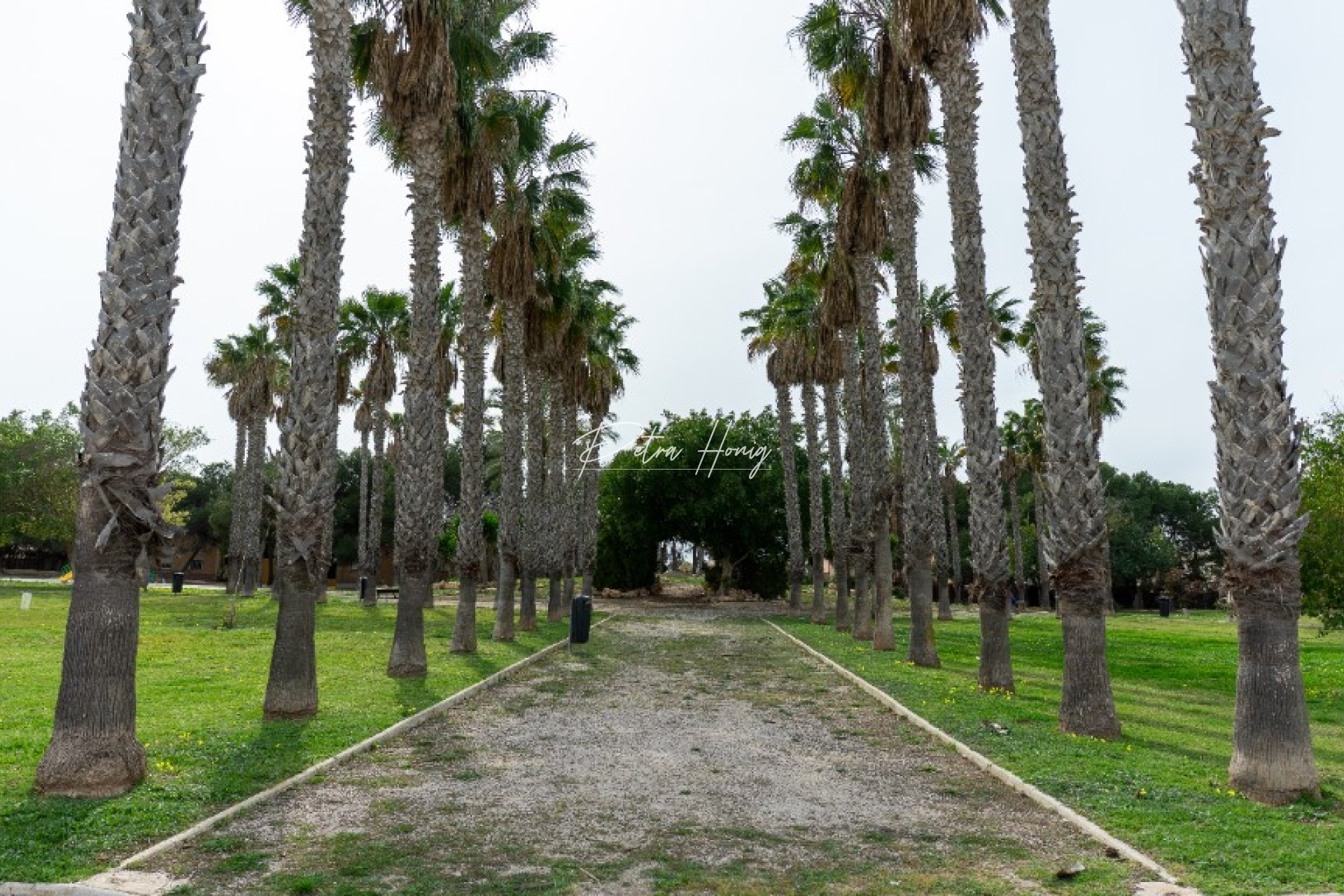 Resales - Villa - Los Altos