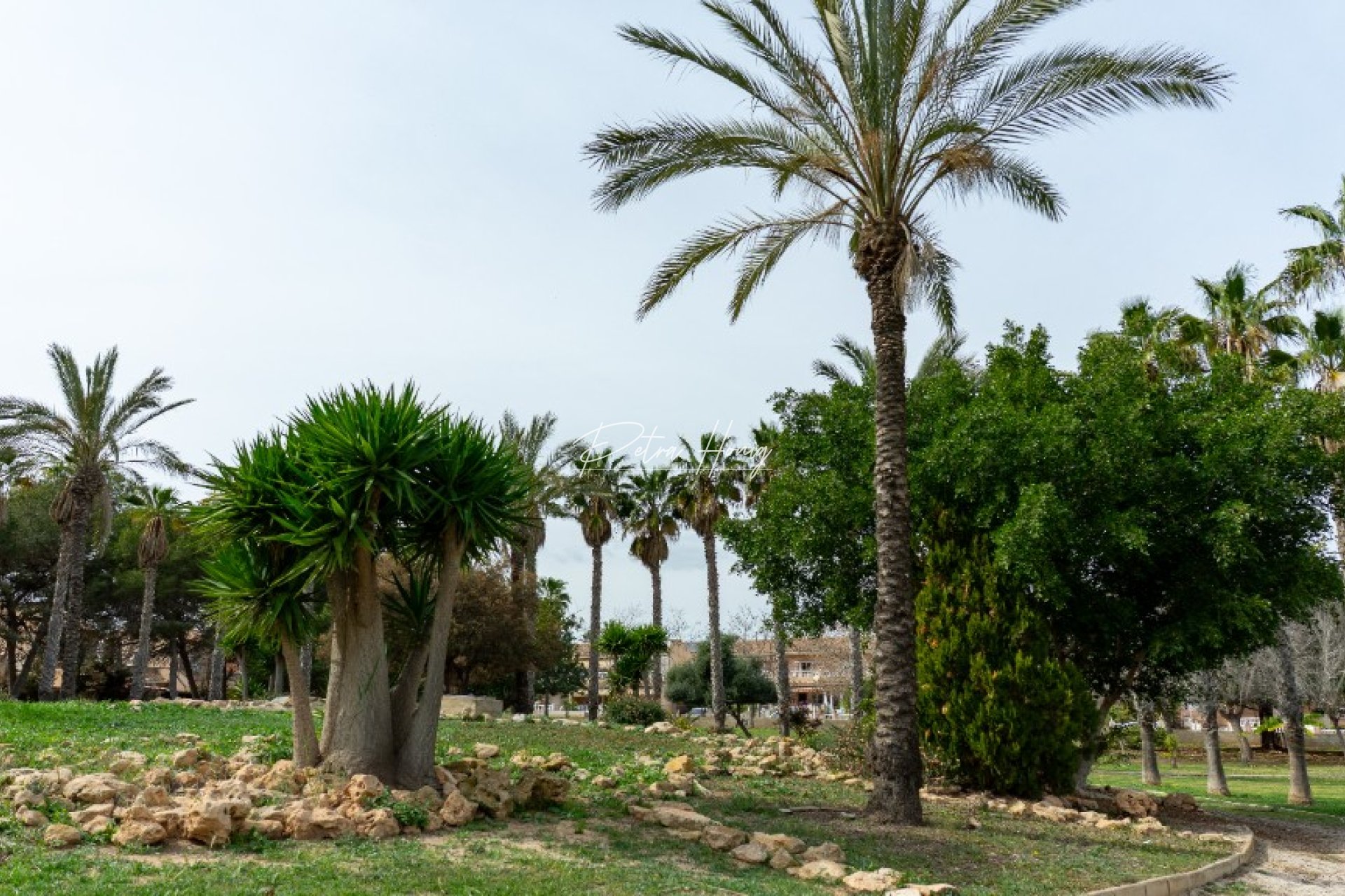 Resales - Villa - Los Altos