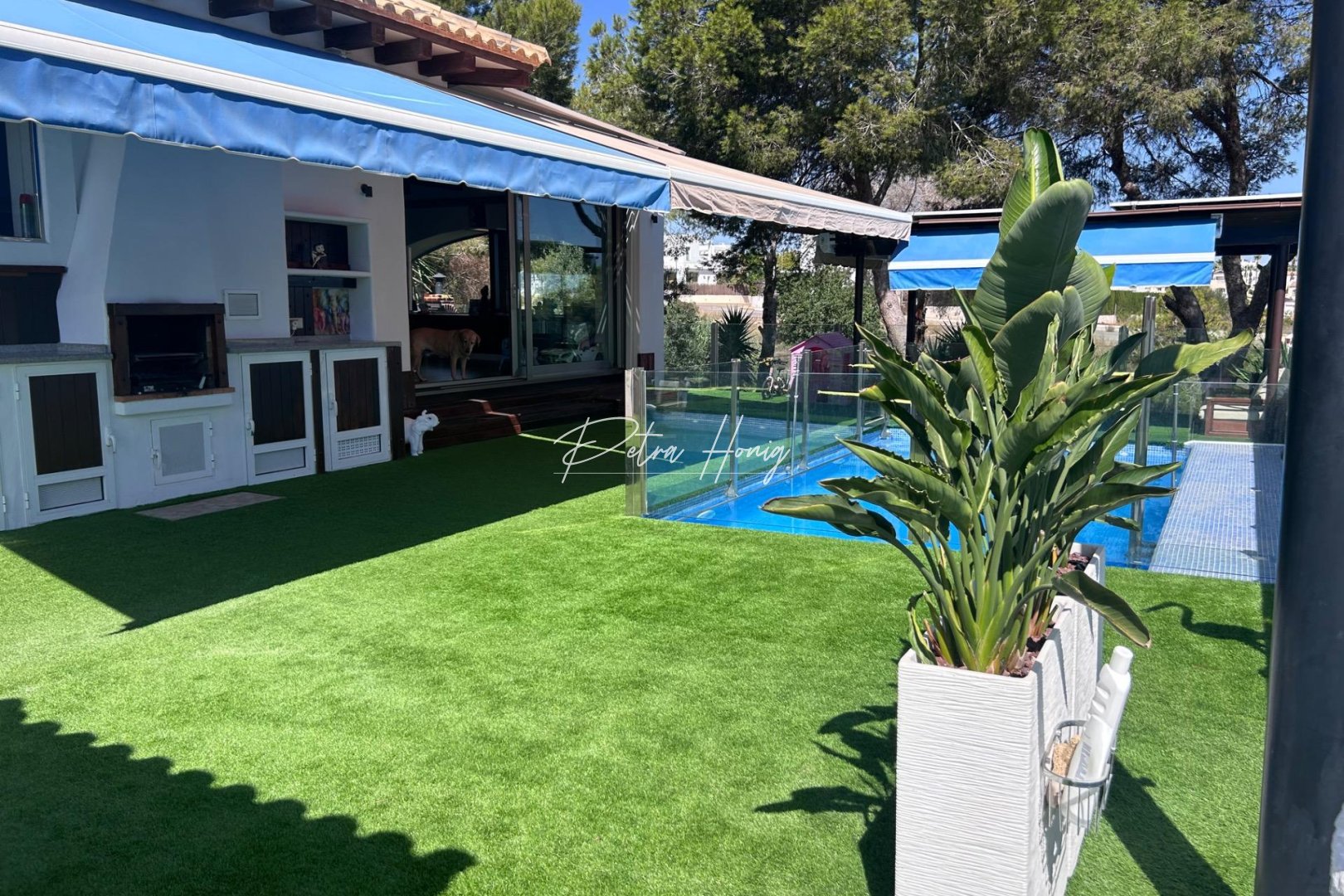 Resales - Villa - Orihuela Costa - Montezenia