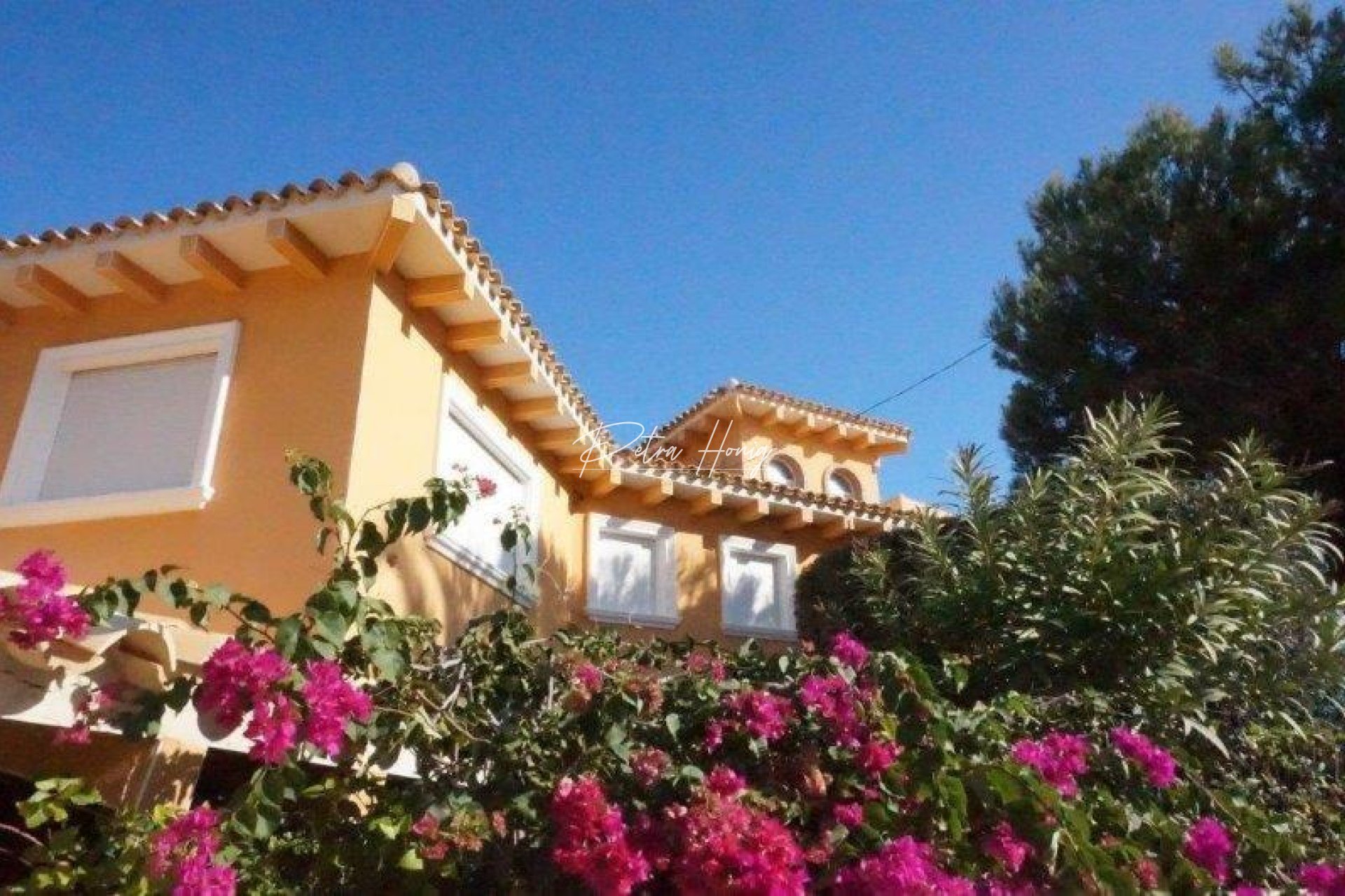 Resales - Villa - Orihuela Costa - Orihuela costa