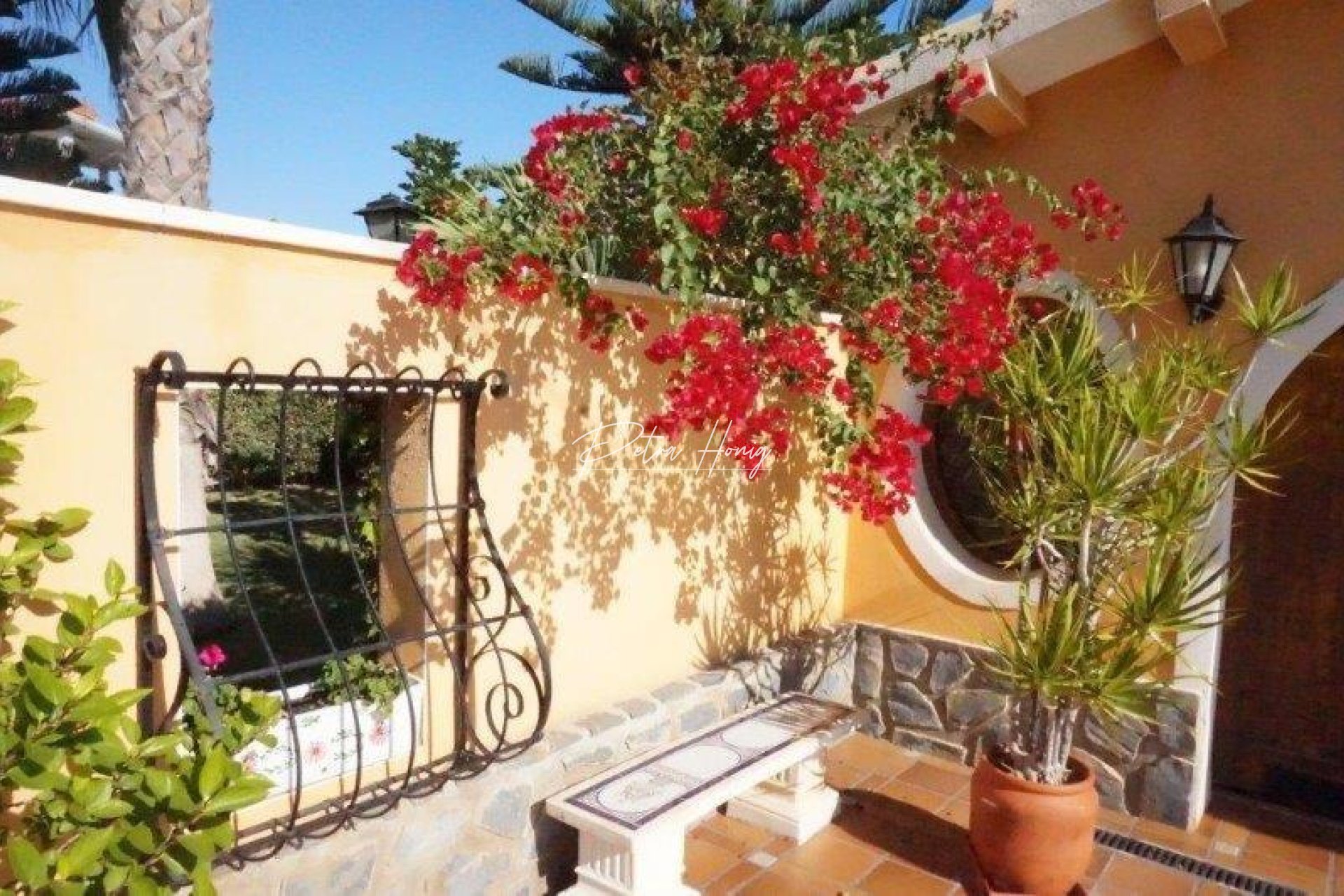 Resales - Villa - Orihuela Costa - Orihuela costa