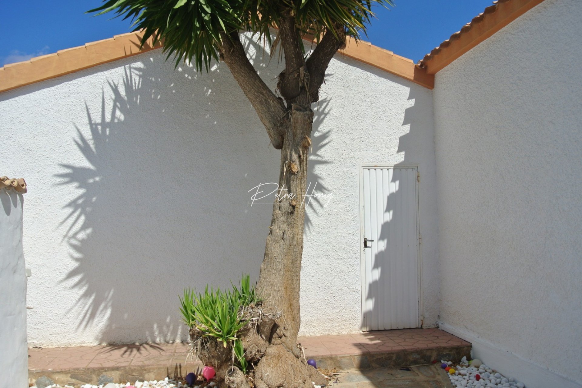 Resales - Villa - Playa Flamenca