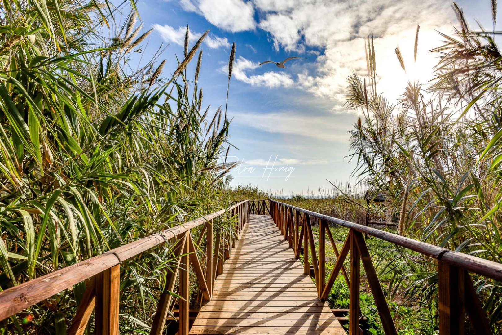 Resales - Villa - San Fulgencio - La Marina