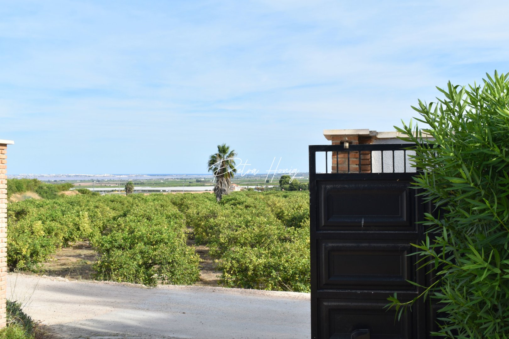 Resales - Villa - San Miguel de Salinas - Torremendo