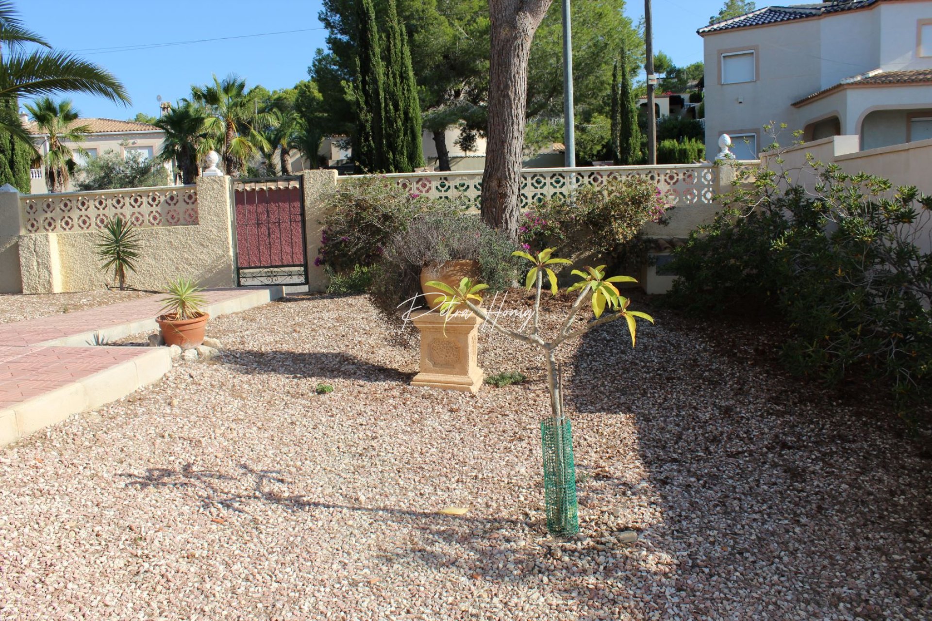 Resales - Villa - San Miguel de Salinas