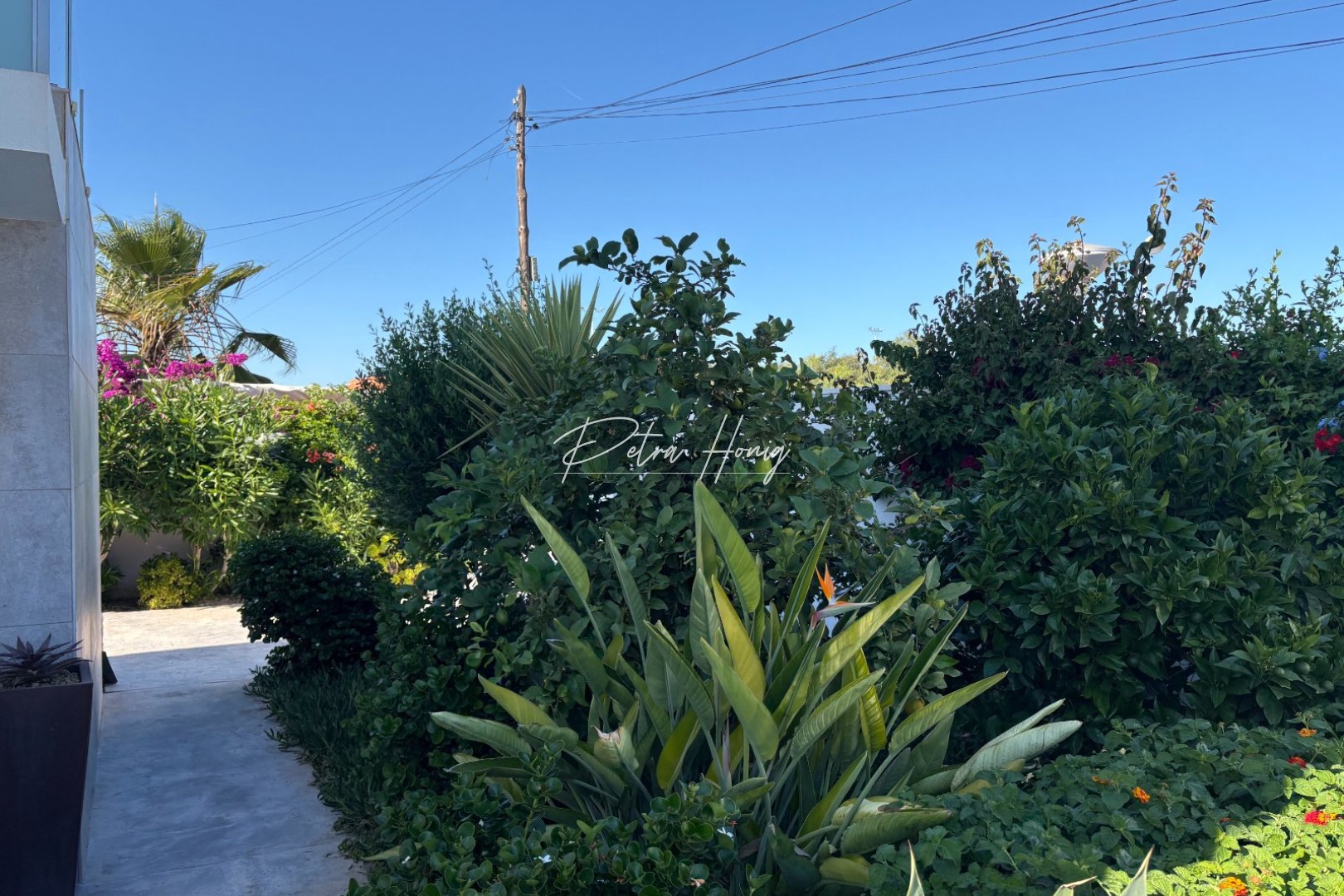 Resales - Villa - Torrevieja - Torreta - Florida