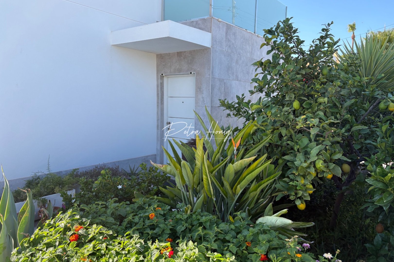 Resales - Villa - Torrevieja - Torreta - Florida