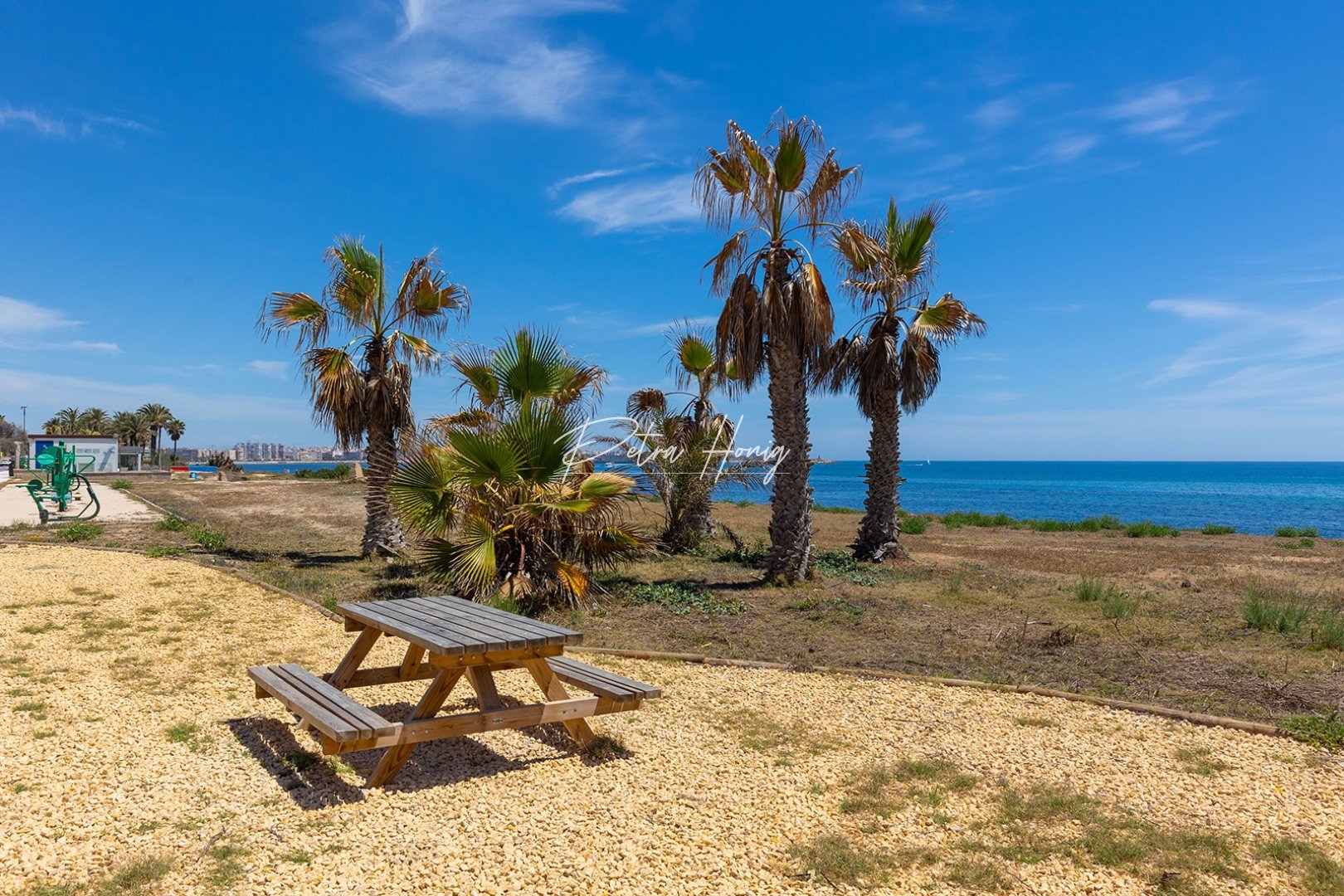 Resales - Villa - Torrevieja