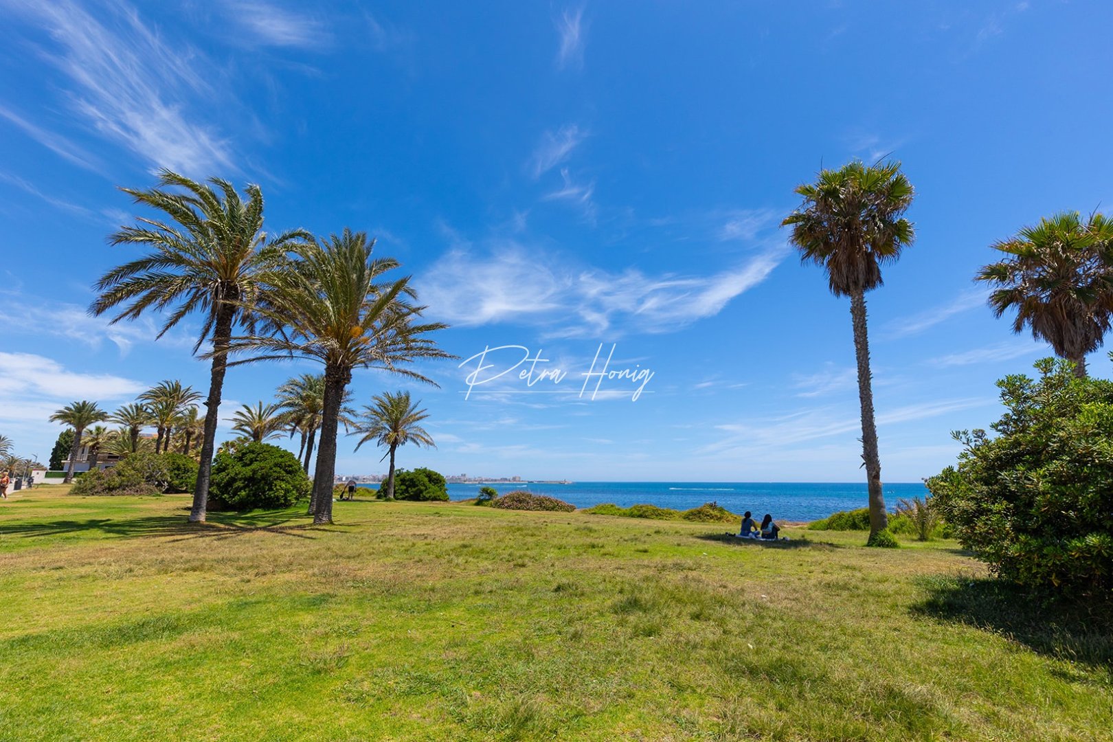 Resales - Villa - Torrevieja