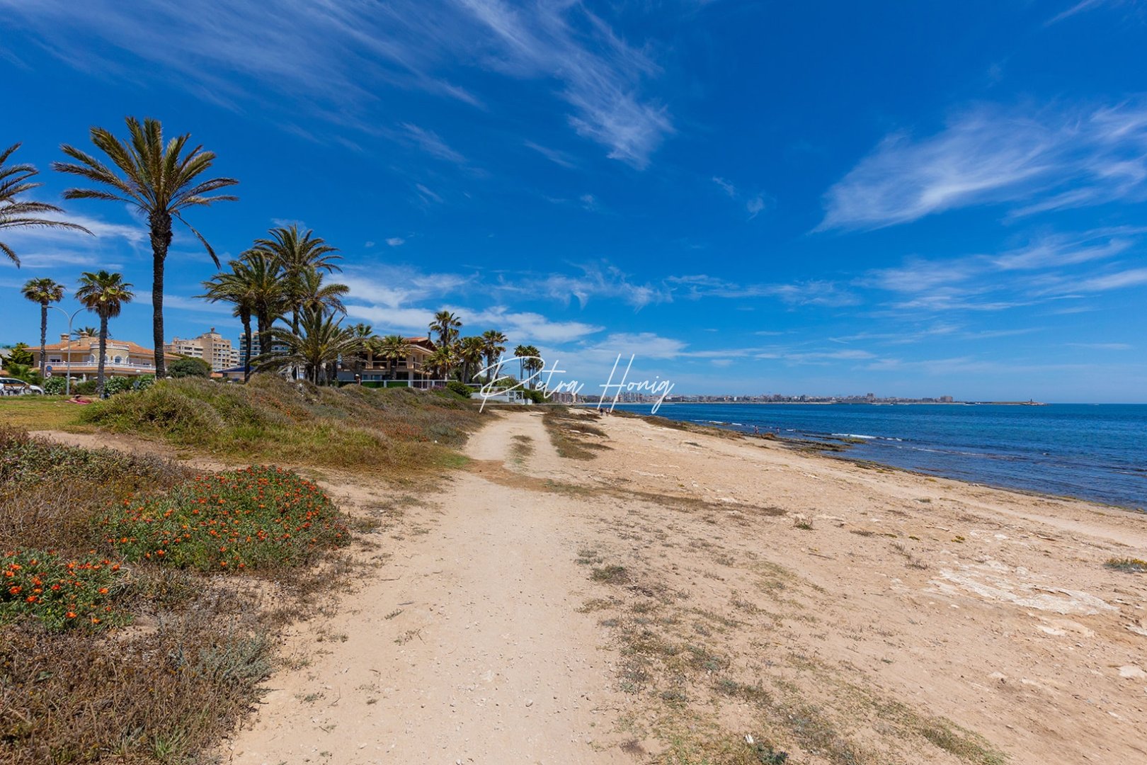 Resales - Villa - Torrevieja