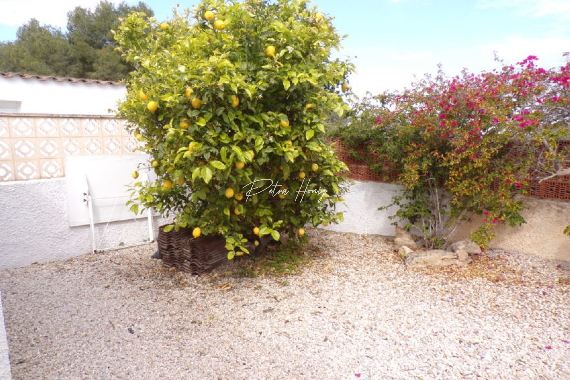 Resales - Villa - Villamartin