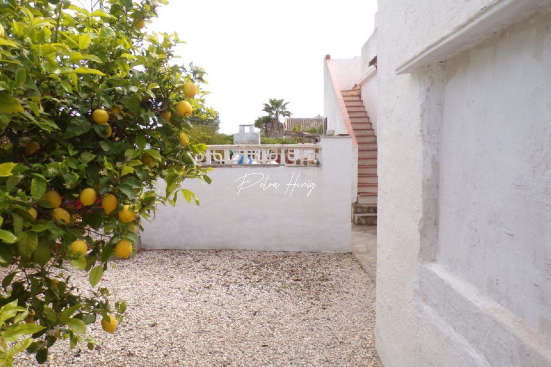 Resales - Villa - Villamartin