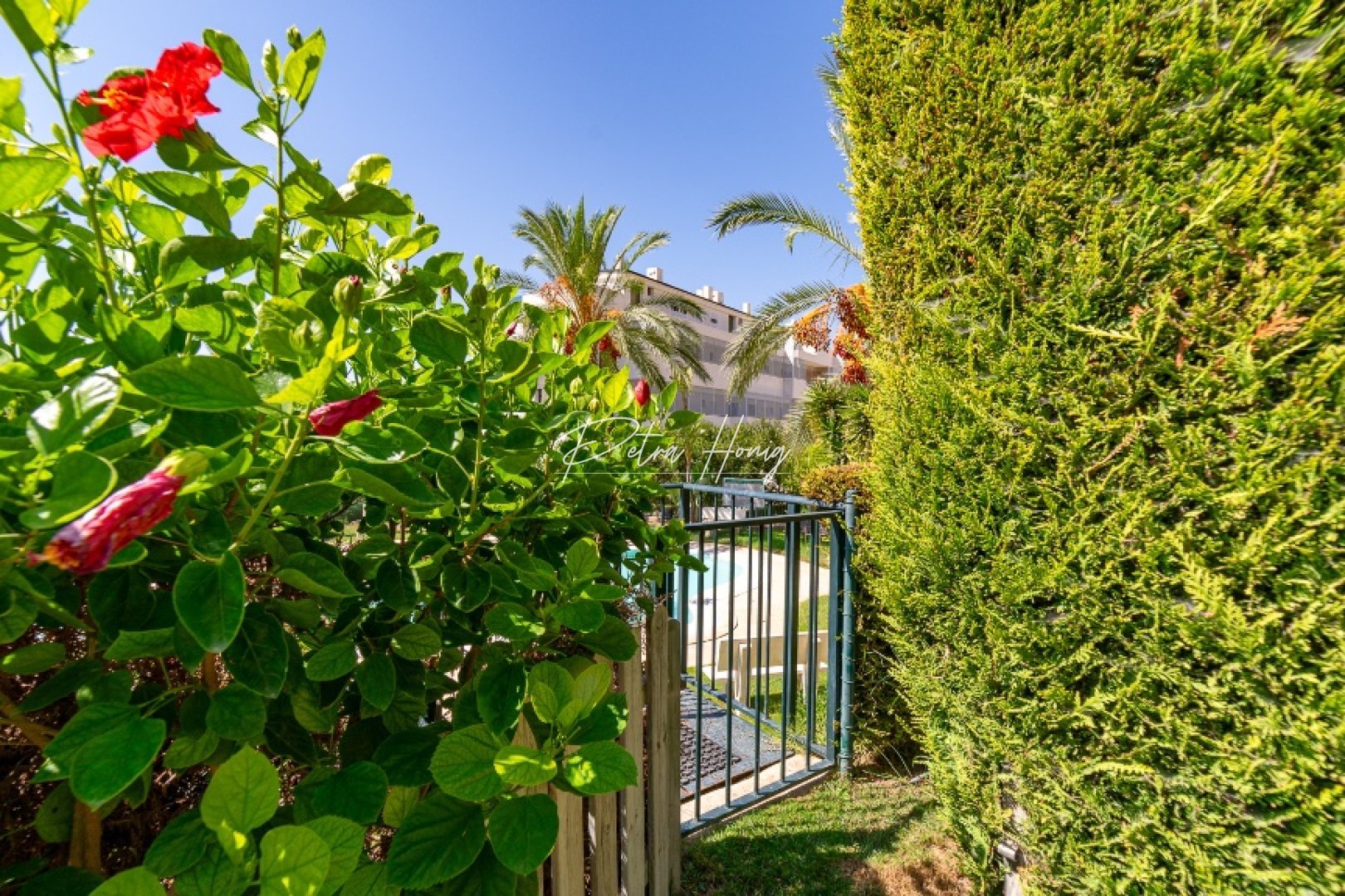 Reventa - Adosado - Benidorm - Finestrat