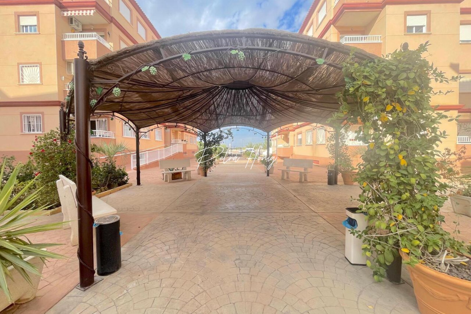 Reventa - Apartamento - Algorfa - La Finca Golf - Algorfa