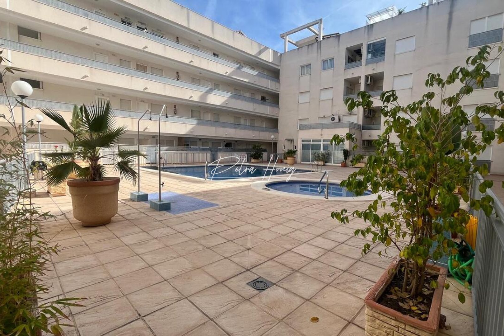 Reventa - Apartamento - Almoradi