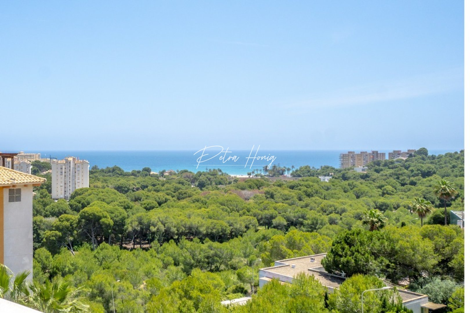 Reventa - Apartamento - Campoamor - Dehesa De Campoamor