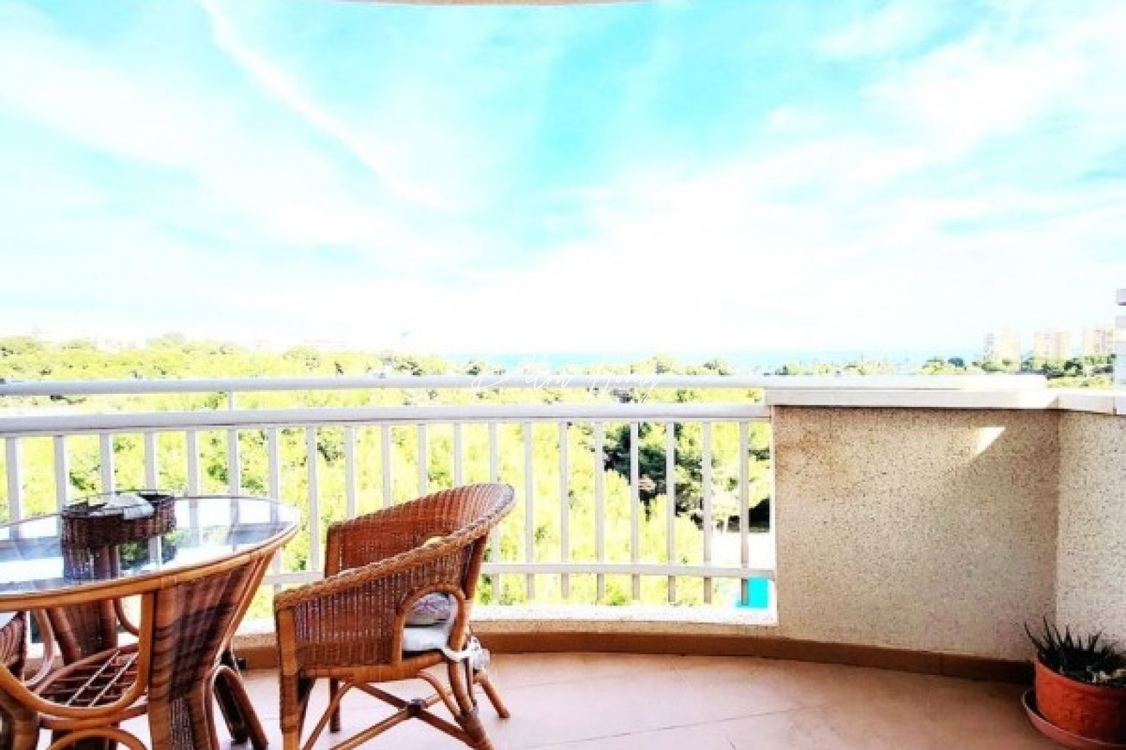 Reventa - Apartamento - Campoamor - Dehesa De Campoamor