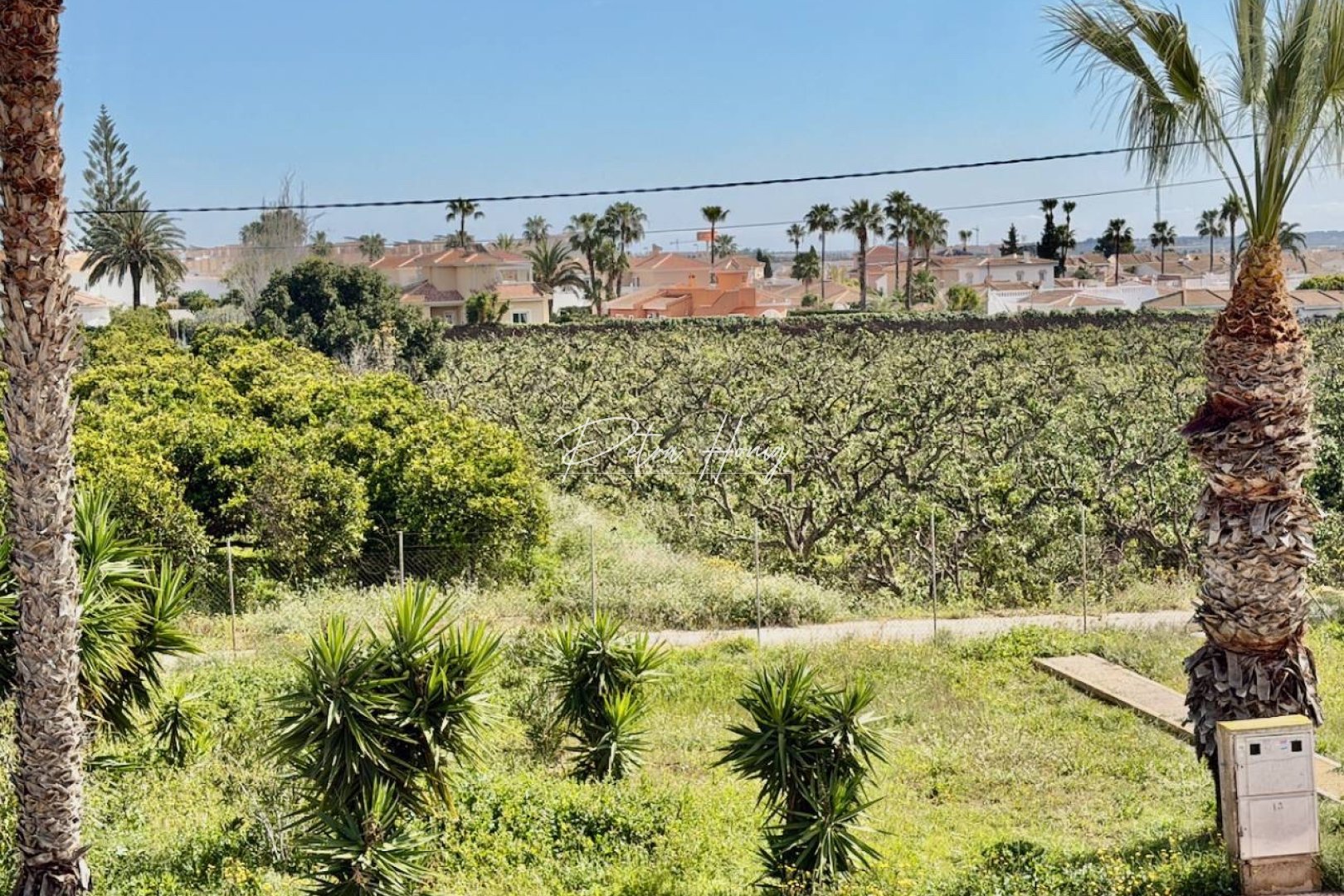 Reventa - Apartamento - Ciudad Quesada - Dona Pepa