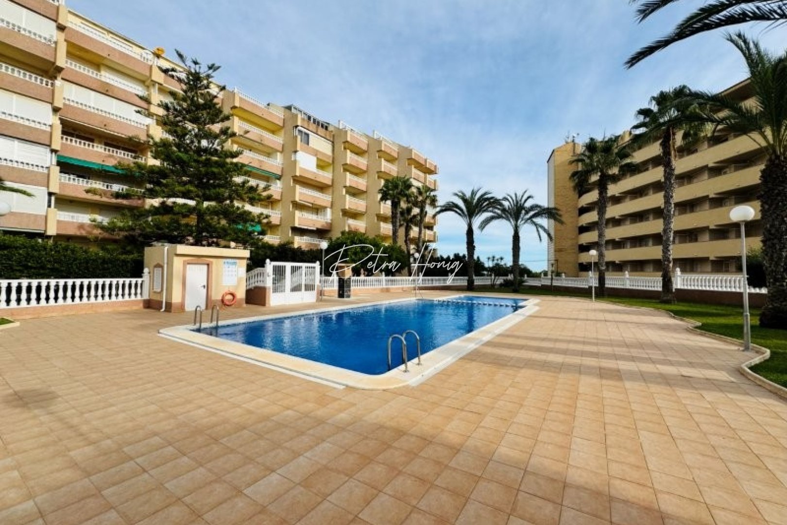 Reventa - Apartamento - La Mata - Alanis