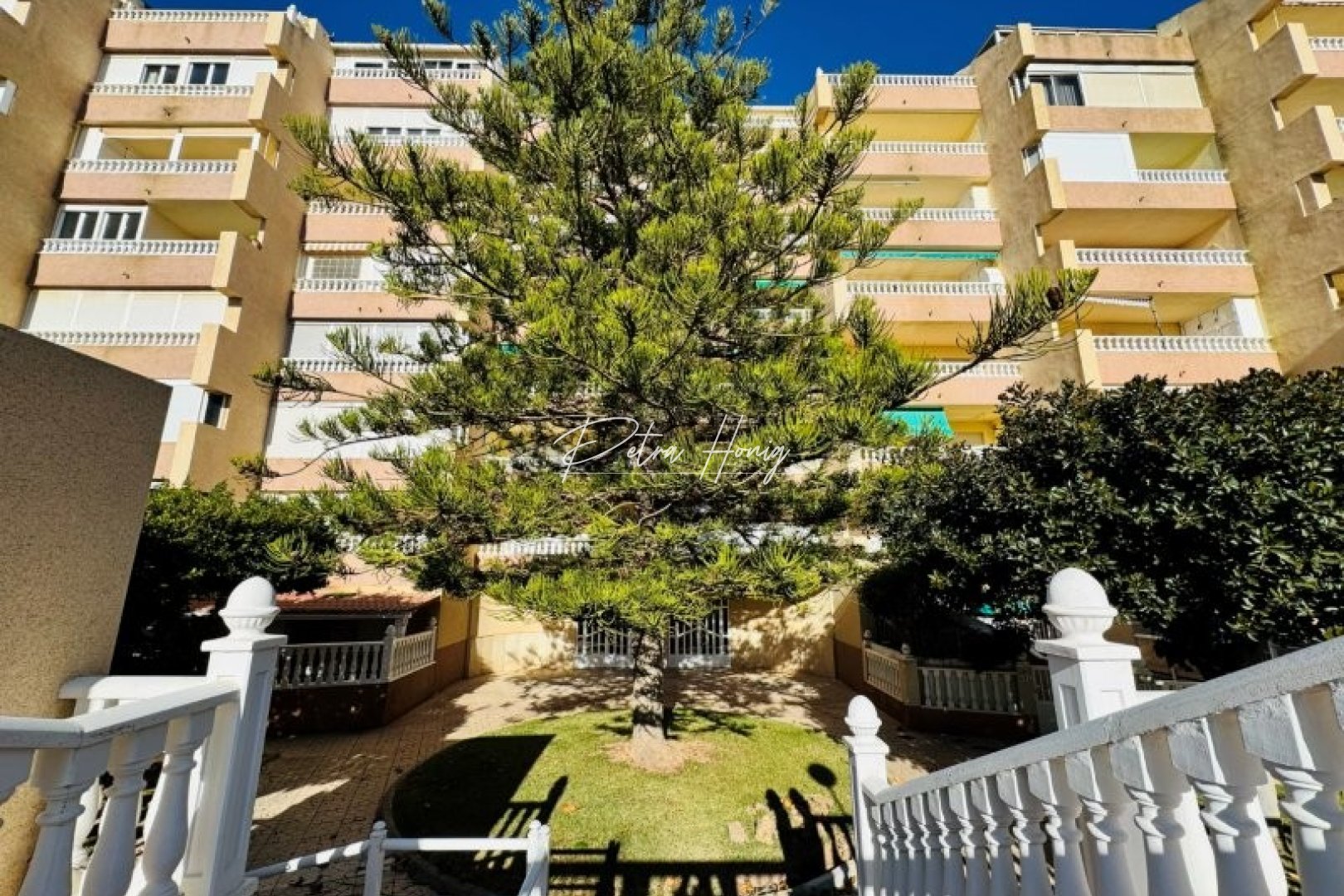 Reventa - Apartamento - La Mata - Alanis
