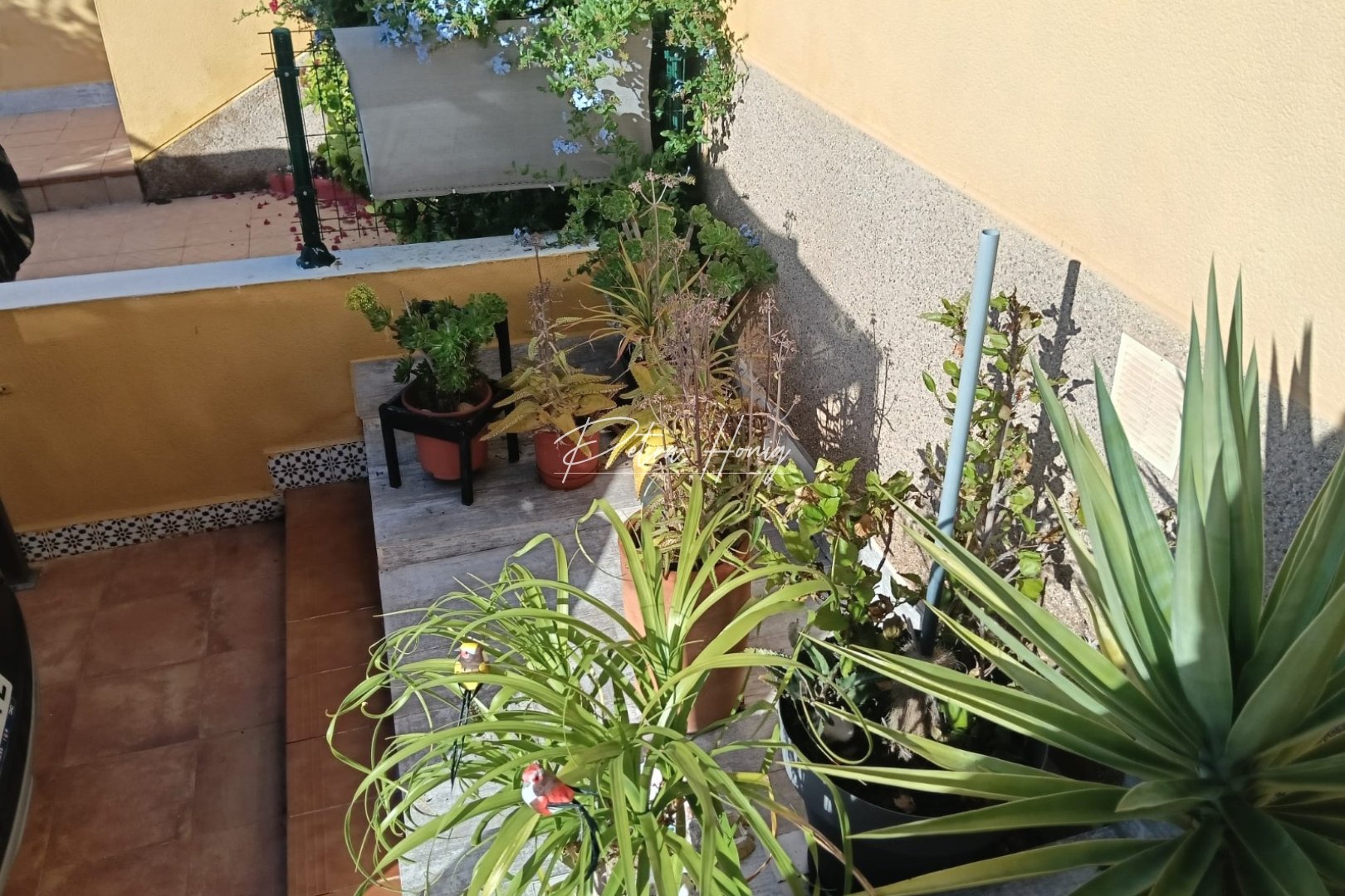 Reventa - Apartamento - Los Montesinos - La Herrada