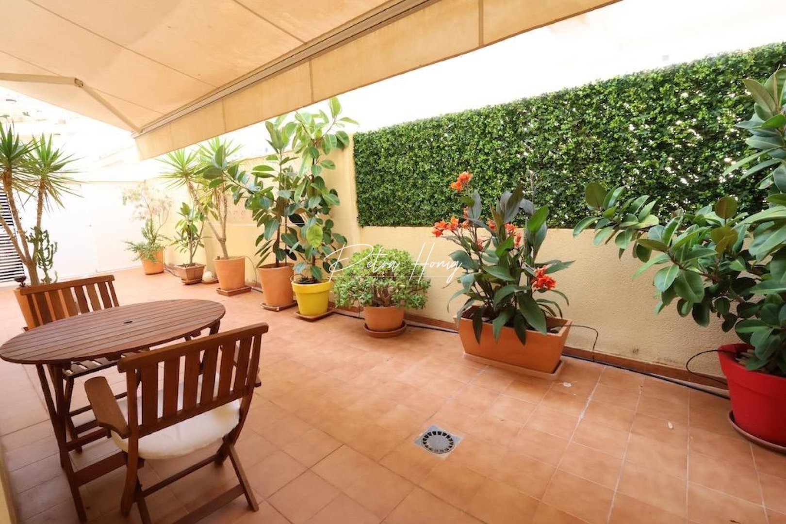 Reventa - Apartamento - Orihuela Costa - Campoamor