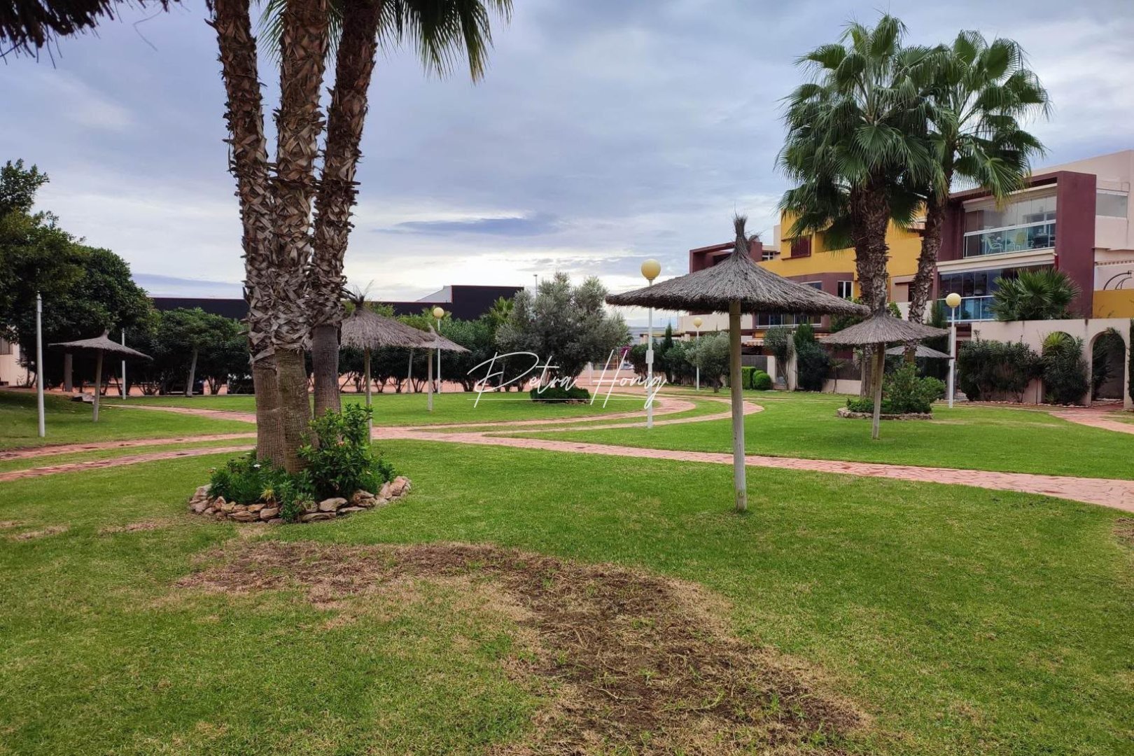 Reventa - Apartamento - Playa Flamenca