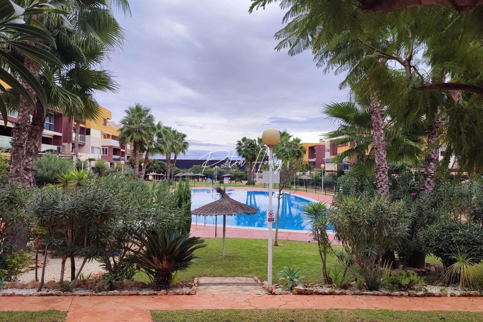Reventa - Apartamento - Playa Flamenca