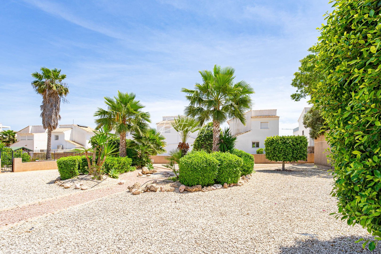 Reventa - Apartamento - Punta Prima - La Ciñuelica