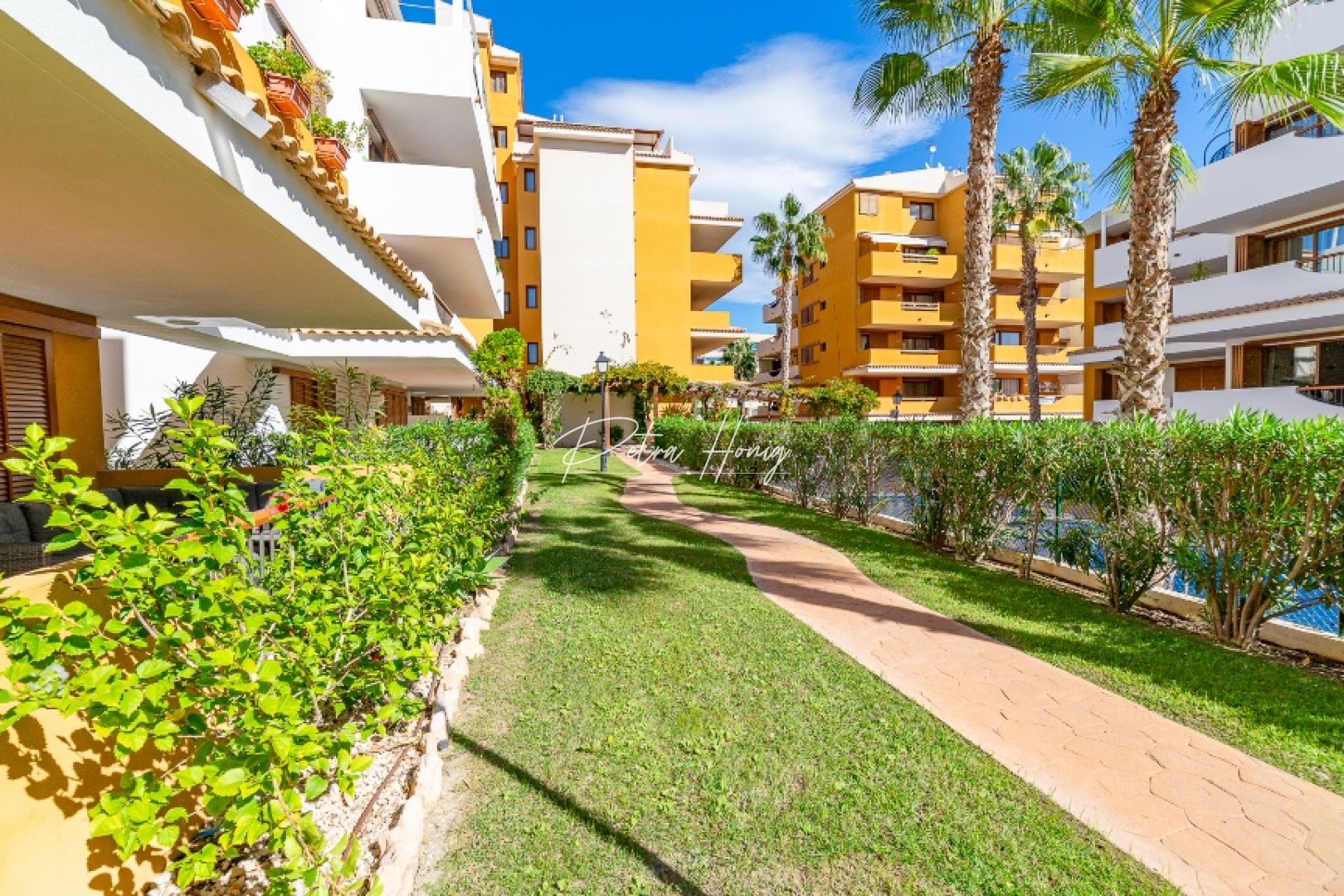 Reventa - Apartamento - Punta Prima