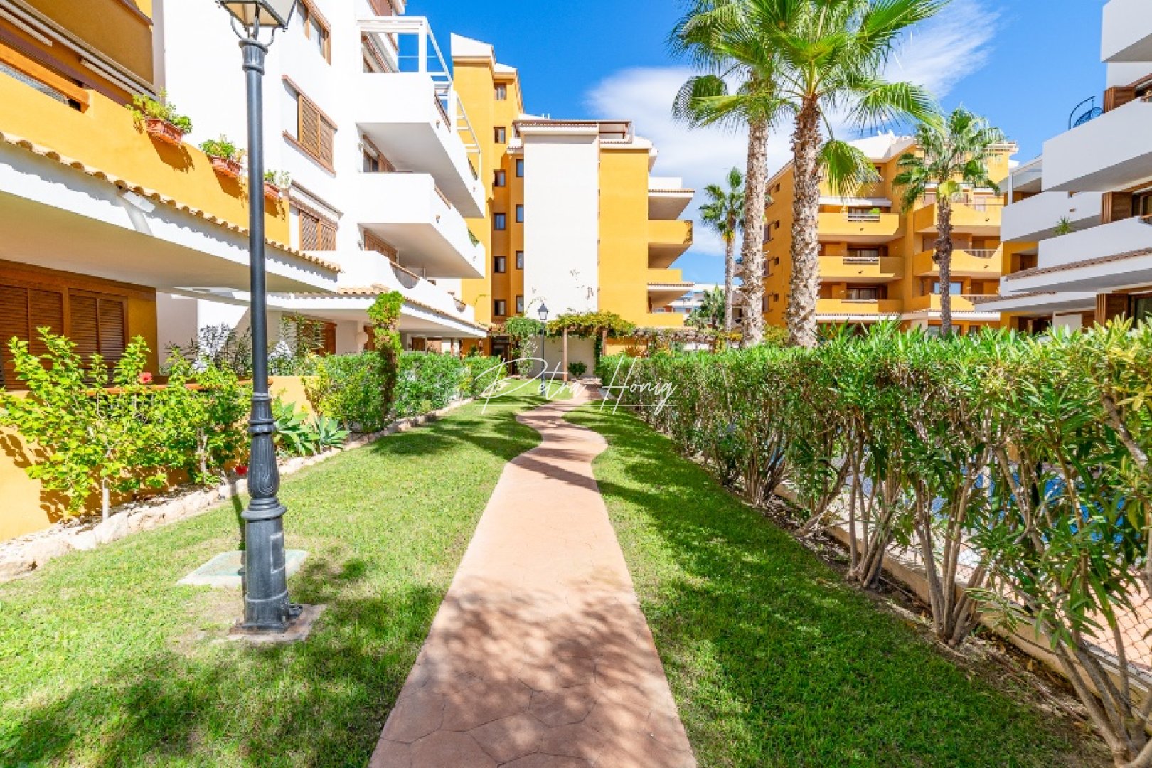 Reventa - Apartamento - Punta Prima