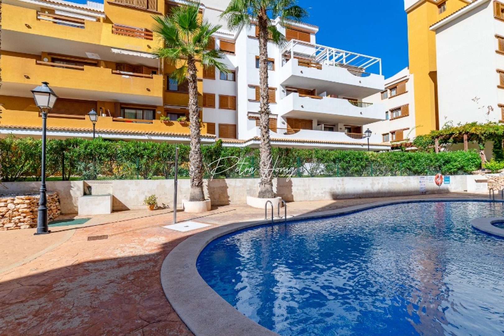 Reventa - Apartamento - Punta Prima
