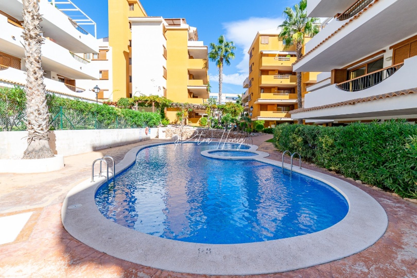 Reventa - Apartamento - Punta Prima